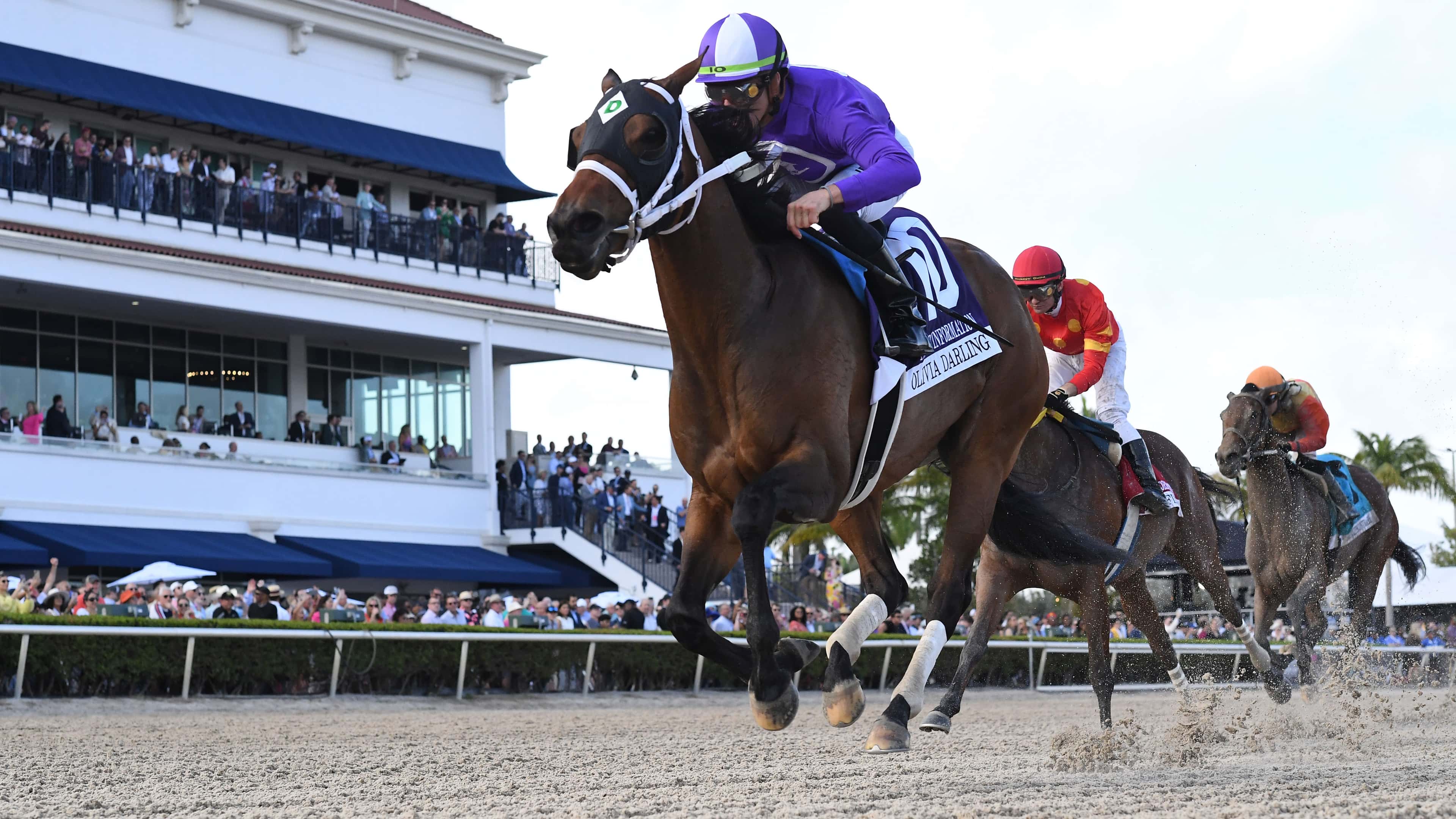 Olivia-Darling-the-Inside-Information45