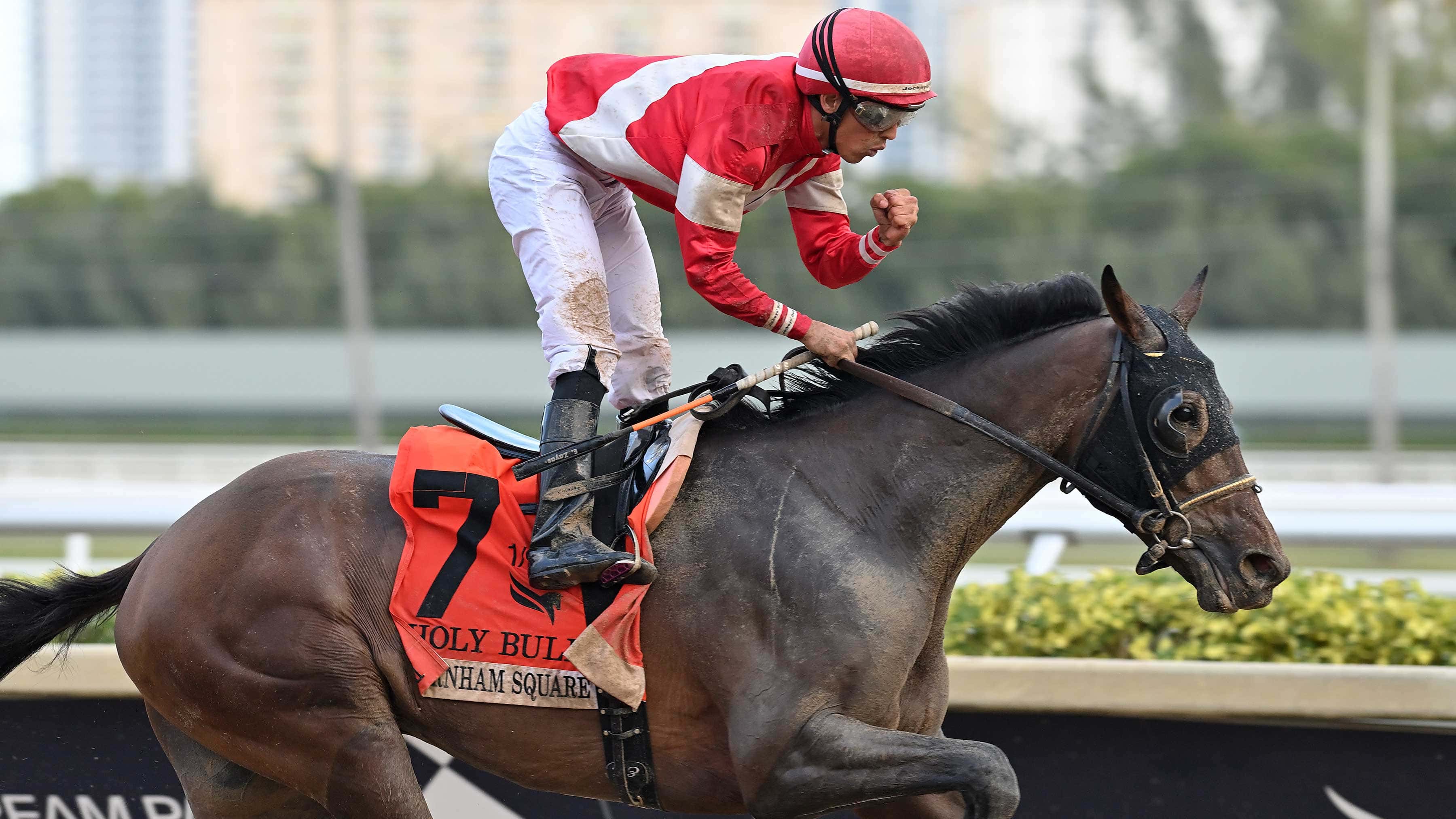 Burnham-Square-the-Holy-Bull