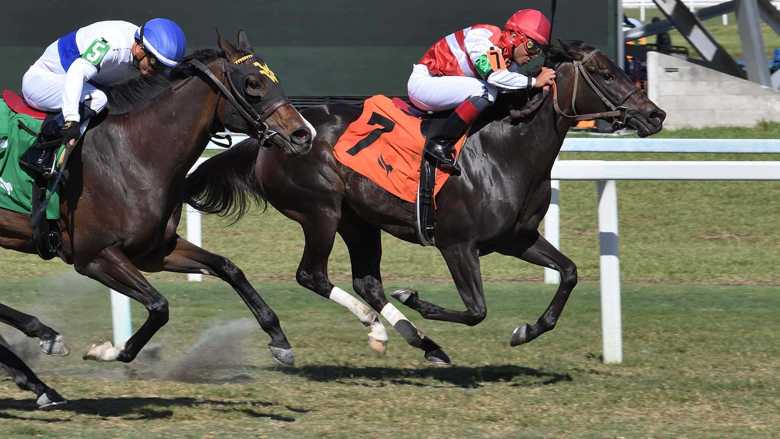 Last-Leaf-the-Melody