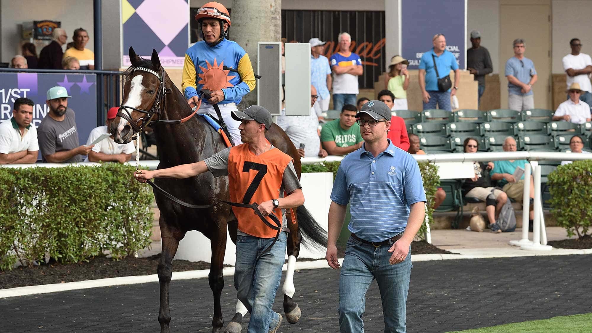 Sand-and-Sea-Riley-Mott