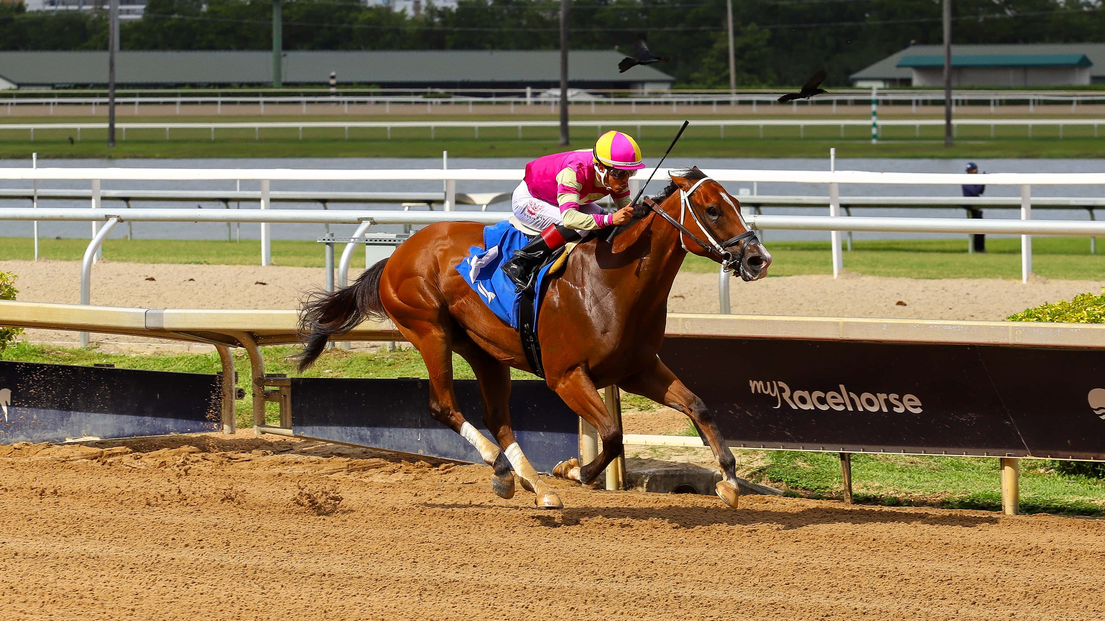 Regreso triunfal de Edgar Zayas con Vanderbilt