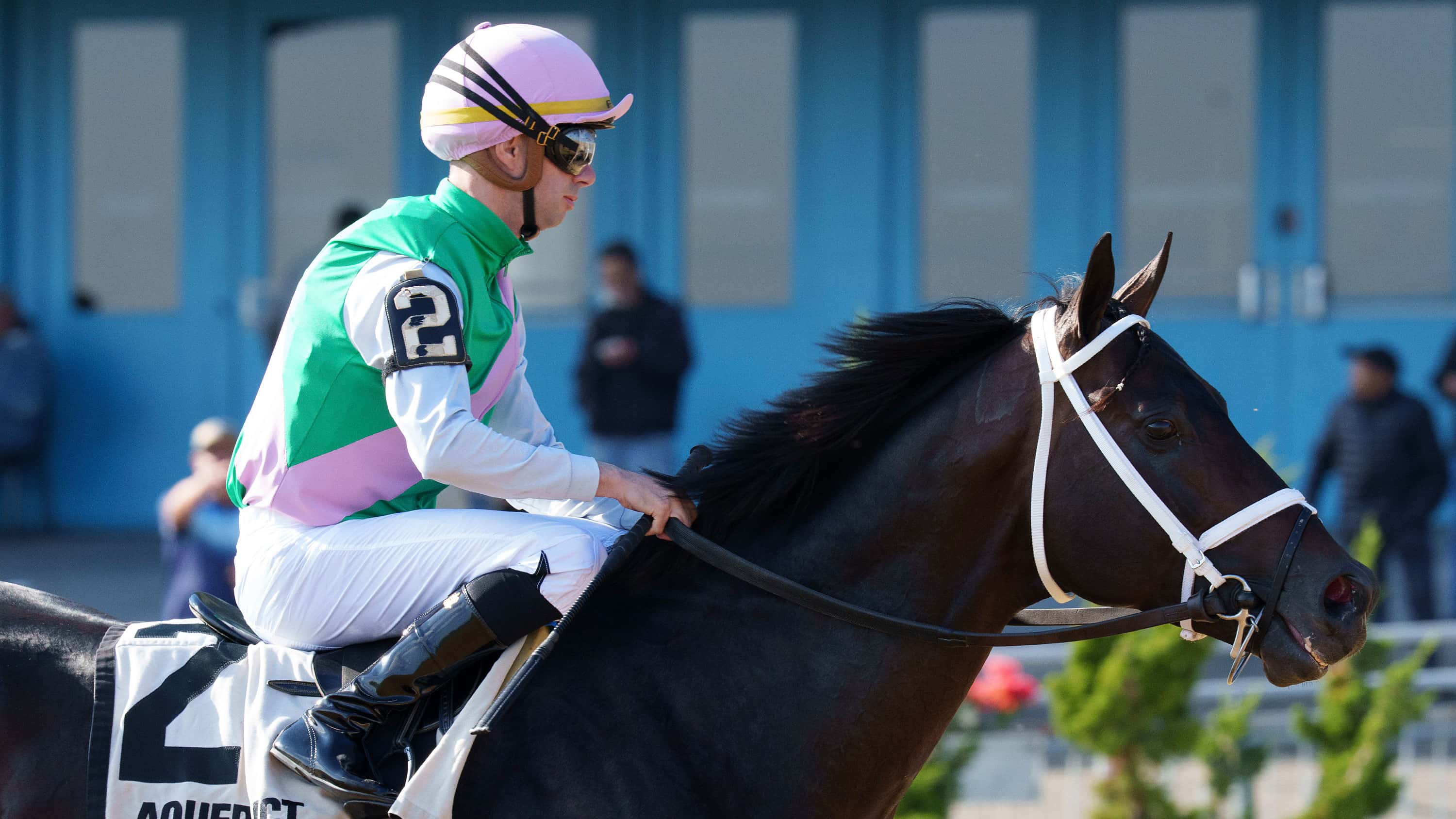 Disco-Time-the-Dwyer-