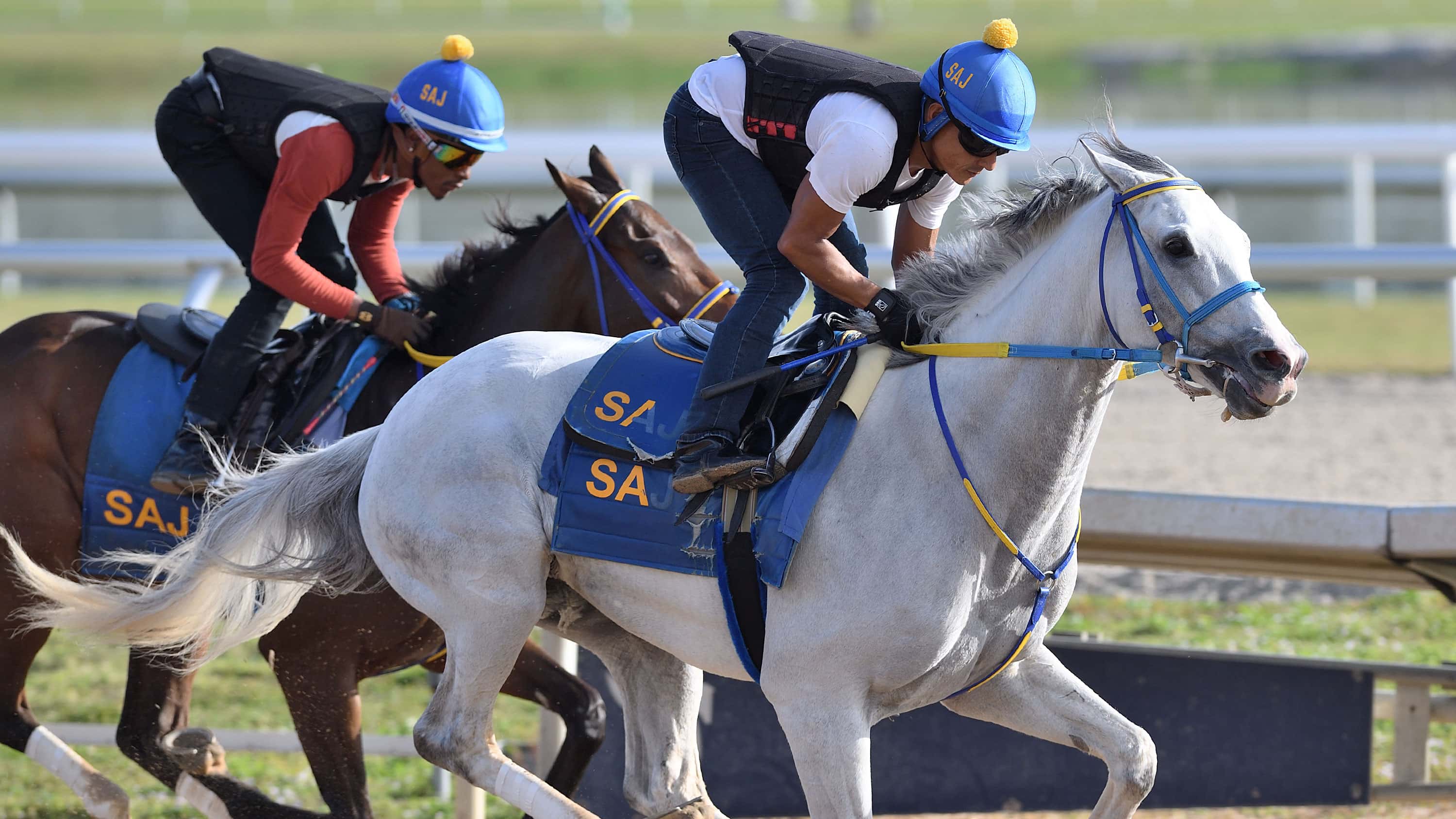 White Abarrio Takes Major Step Toward $3M Pegasus (G1)