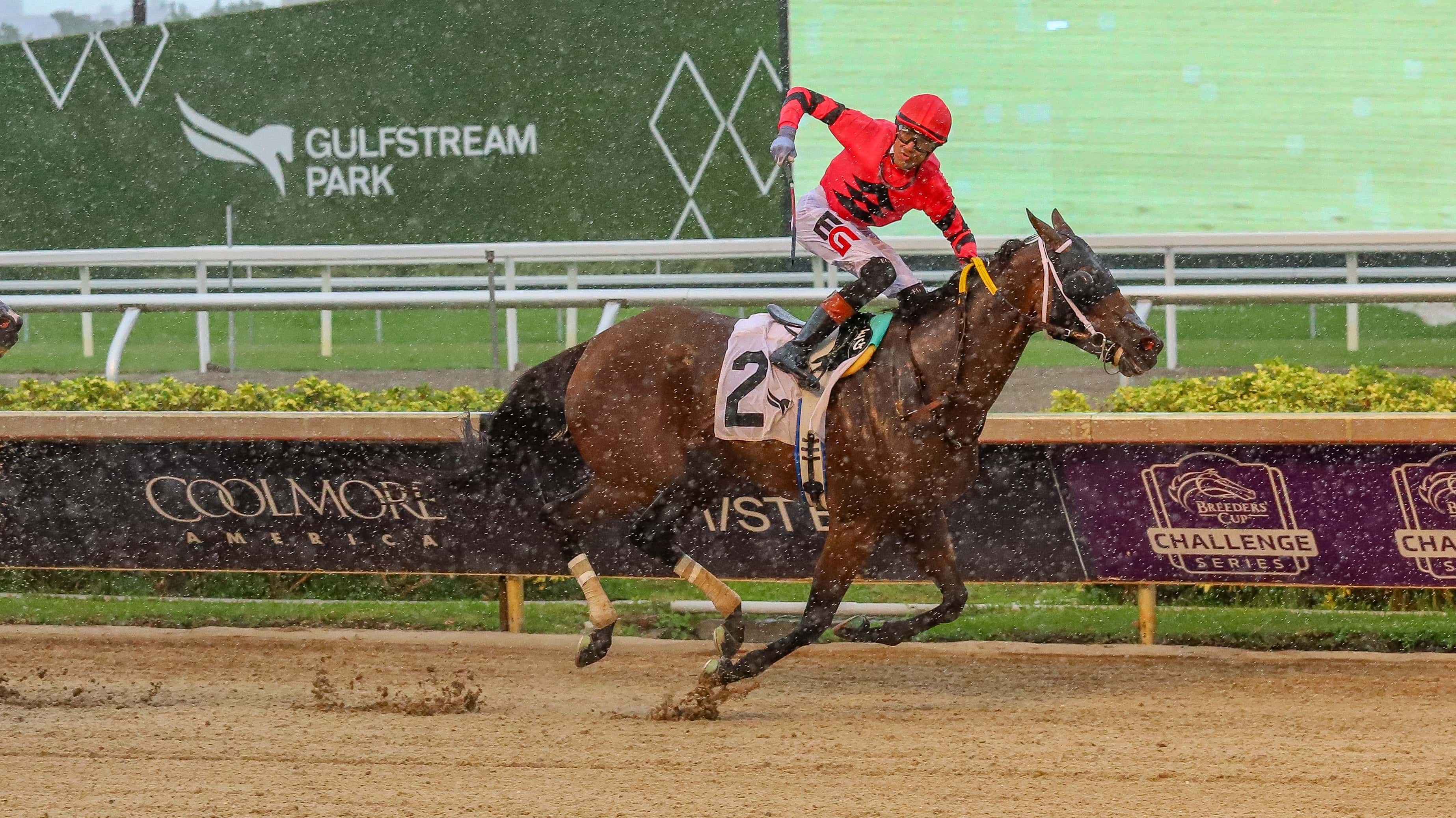 Kerry’s Kiss The Princess Rooney Stakes