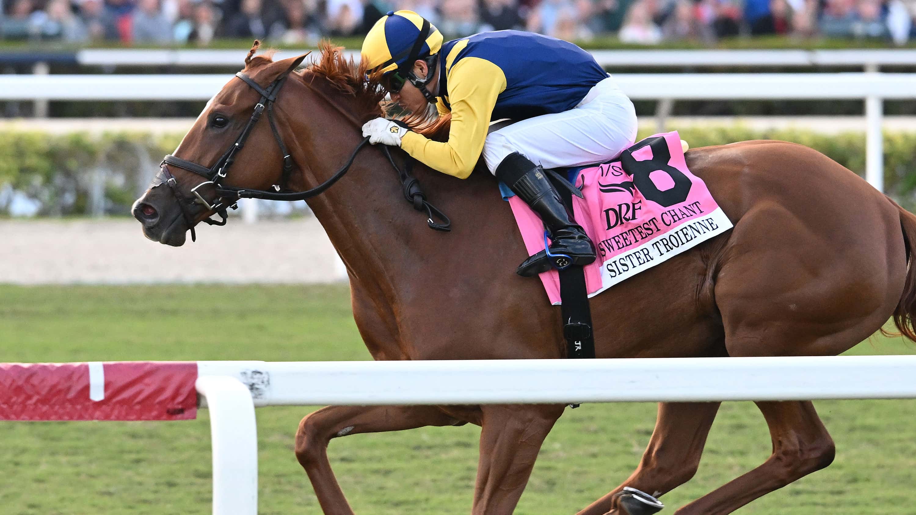 Sister-Troienne-the-Sweetest-Chant-