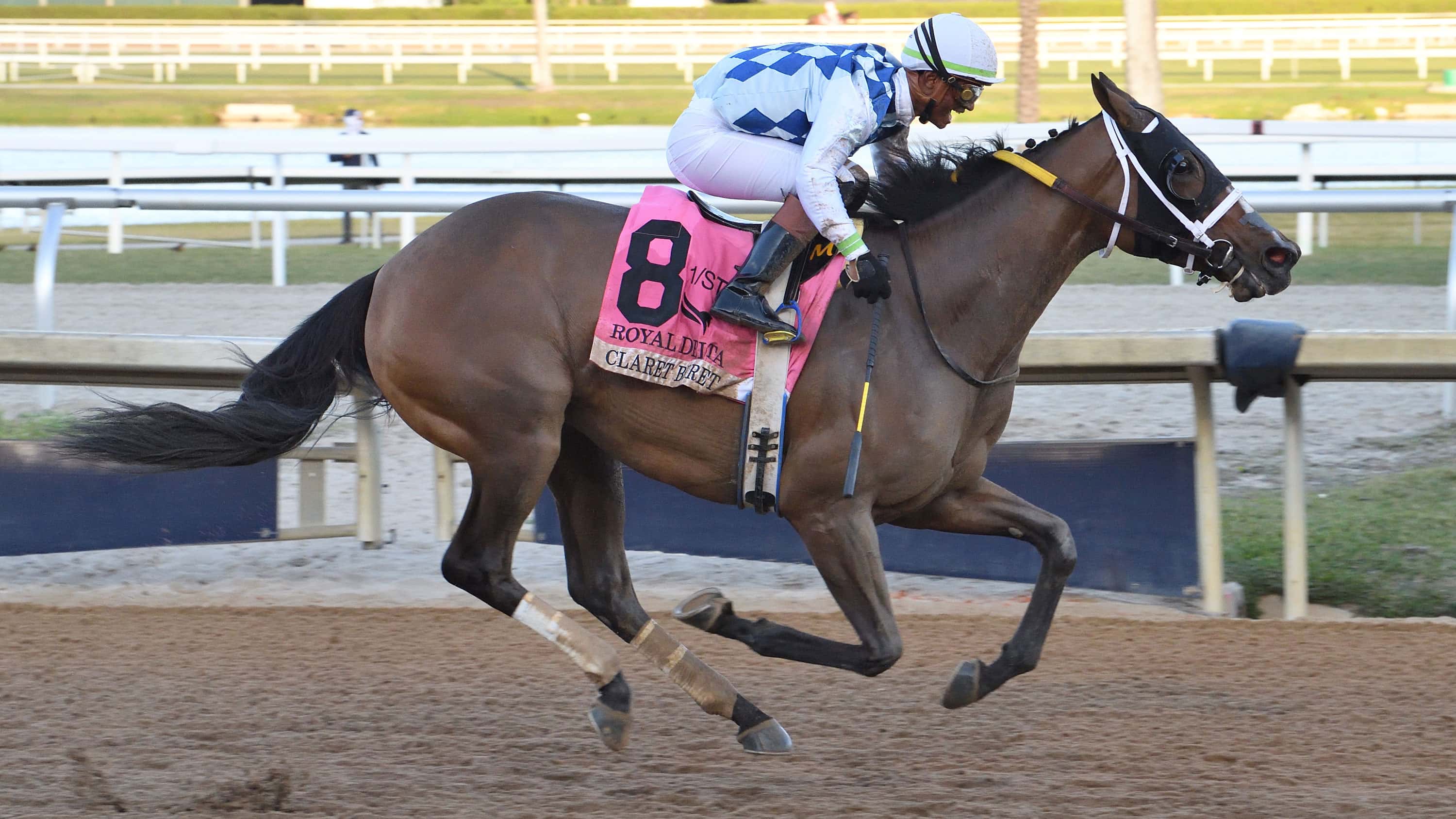 Claret-Beret-the-Royal-Delta