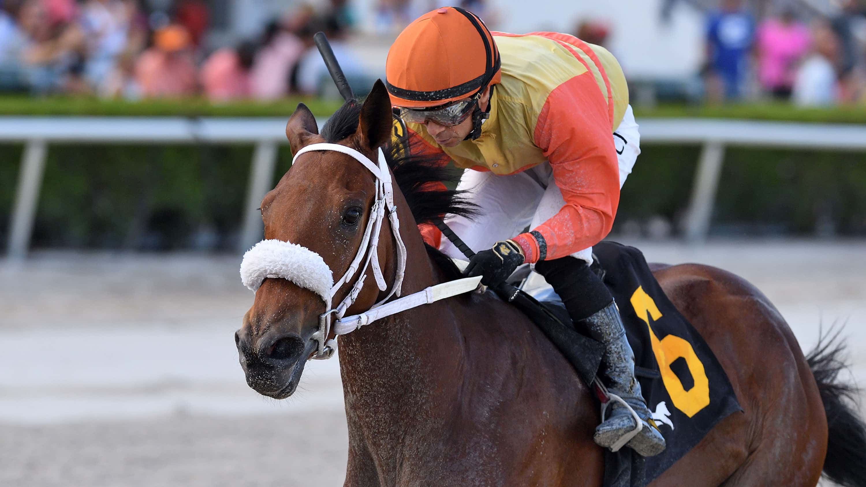 Maryquitecontrary2(1)