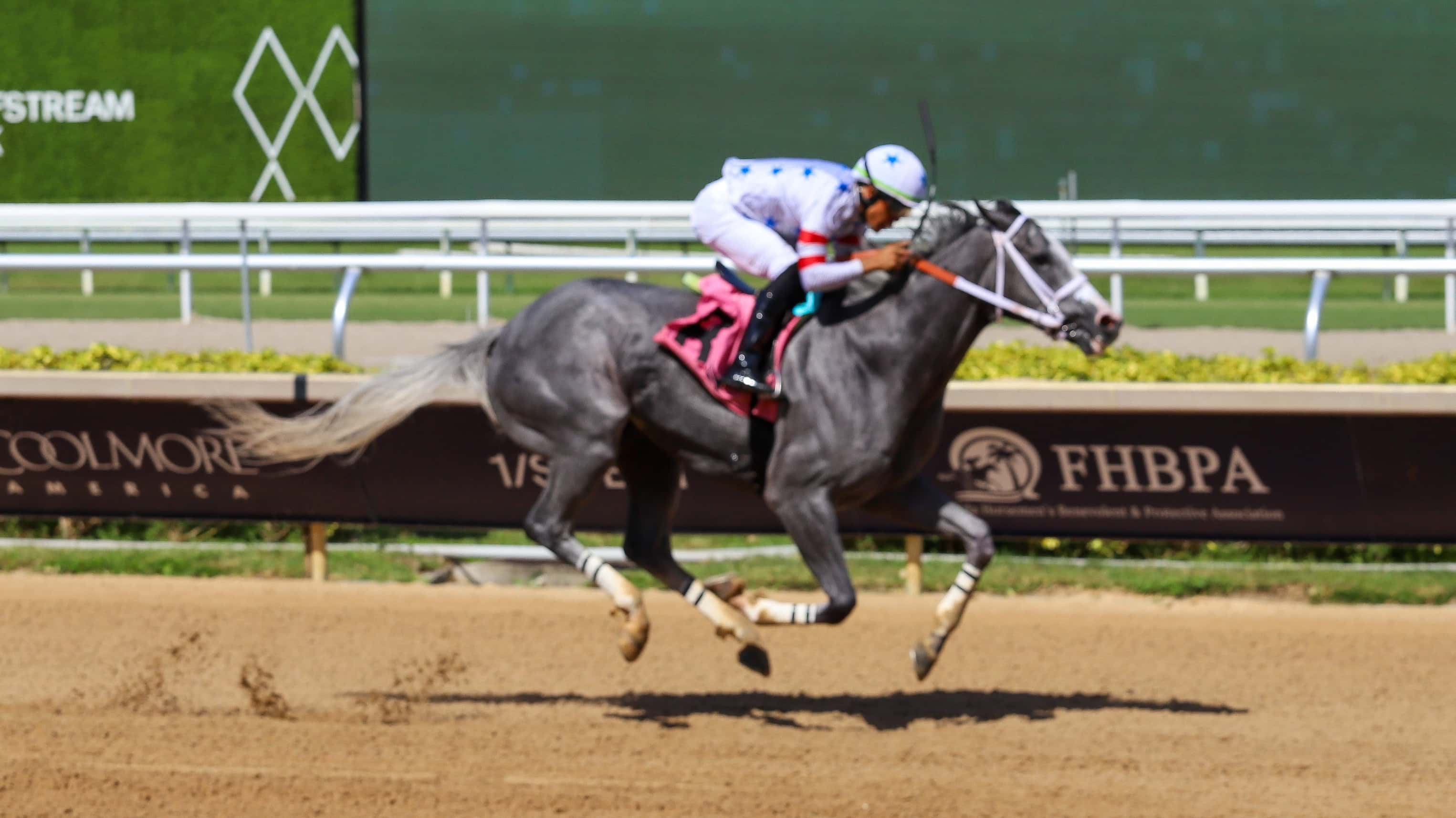 The Wildcat Red Handicap
