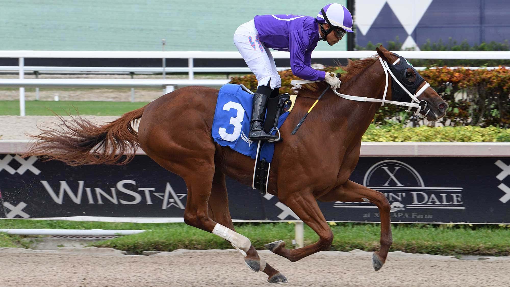 Omaha-Girl-the-Hallandale-Beach