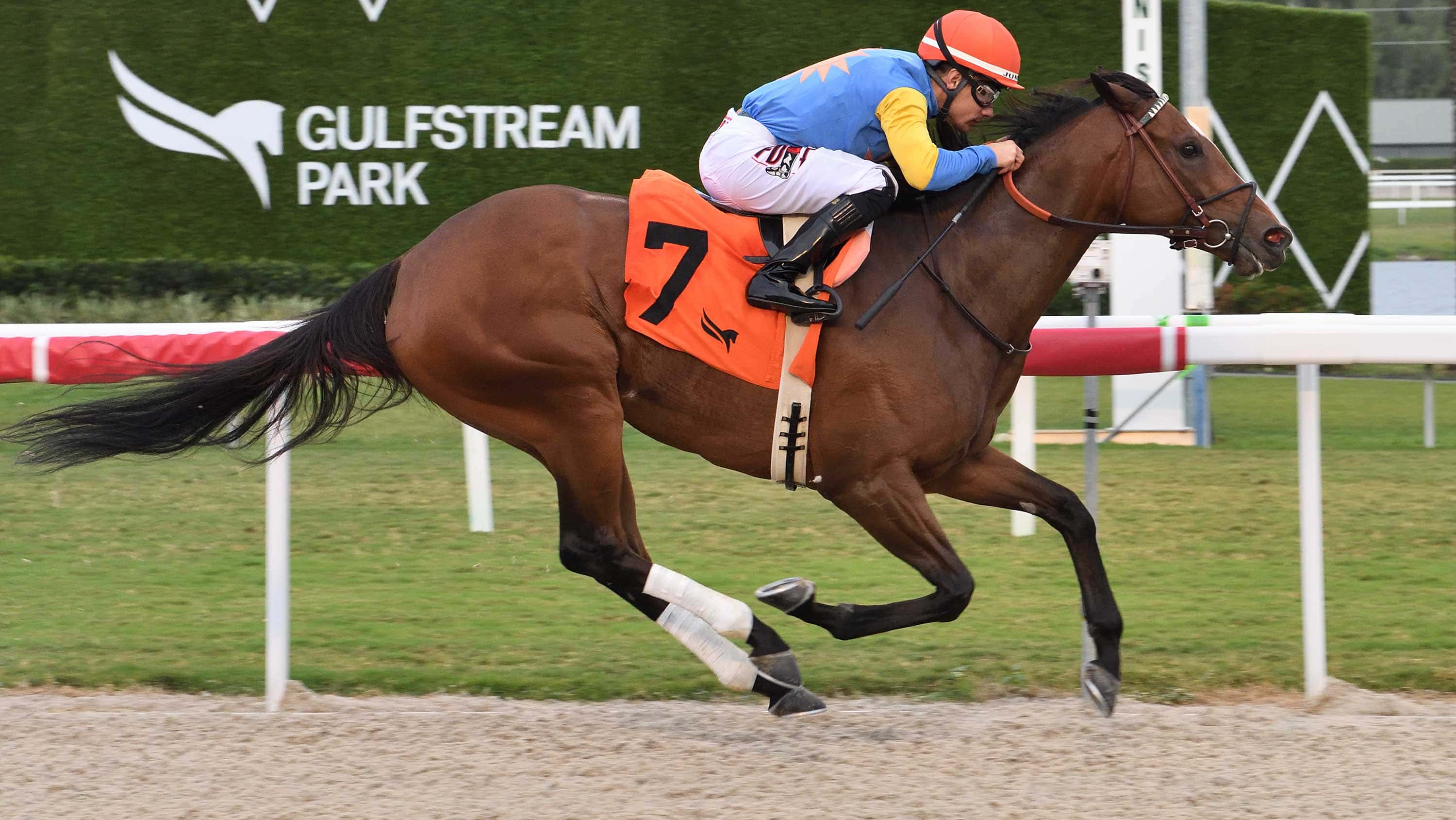 Sand-and-Sea-the-Key-West