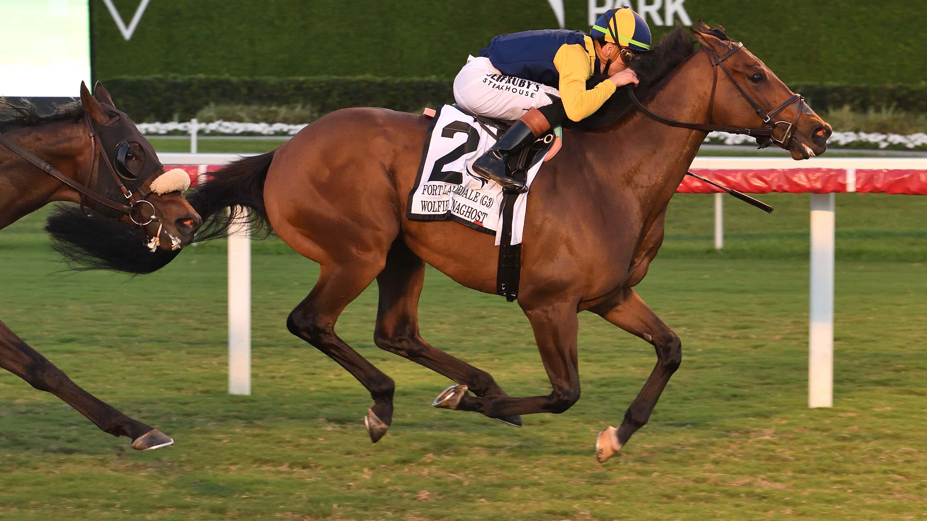 Wolfie’s Dynaghost Shatters Record in Fort Lauderdale (G3) Win