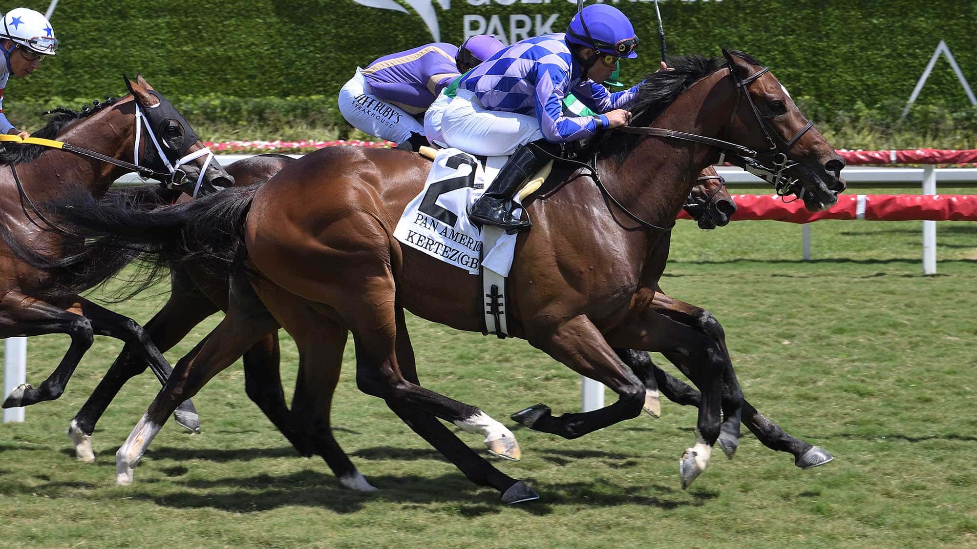 Kertez-the-Pan-American