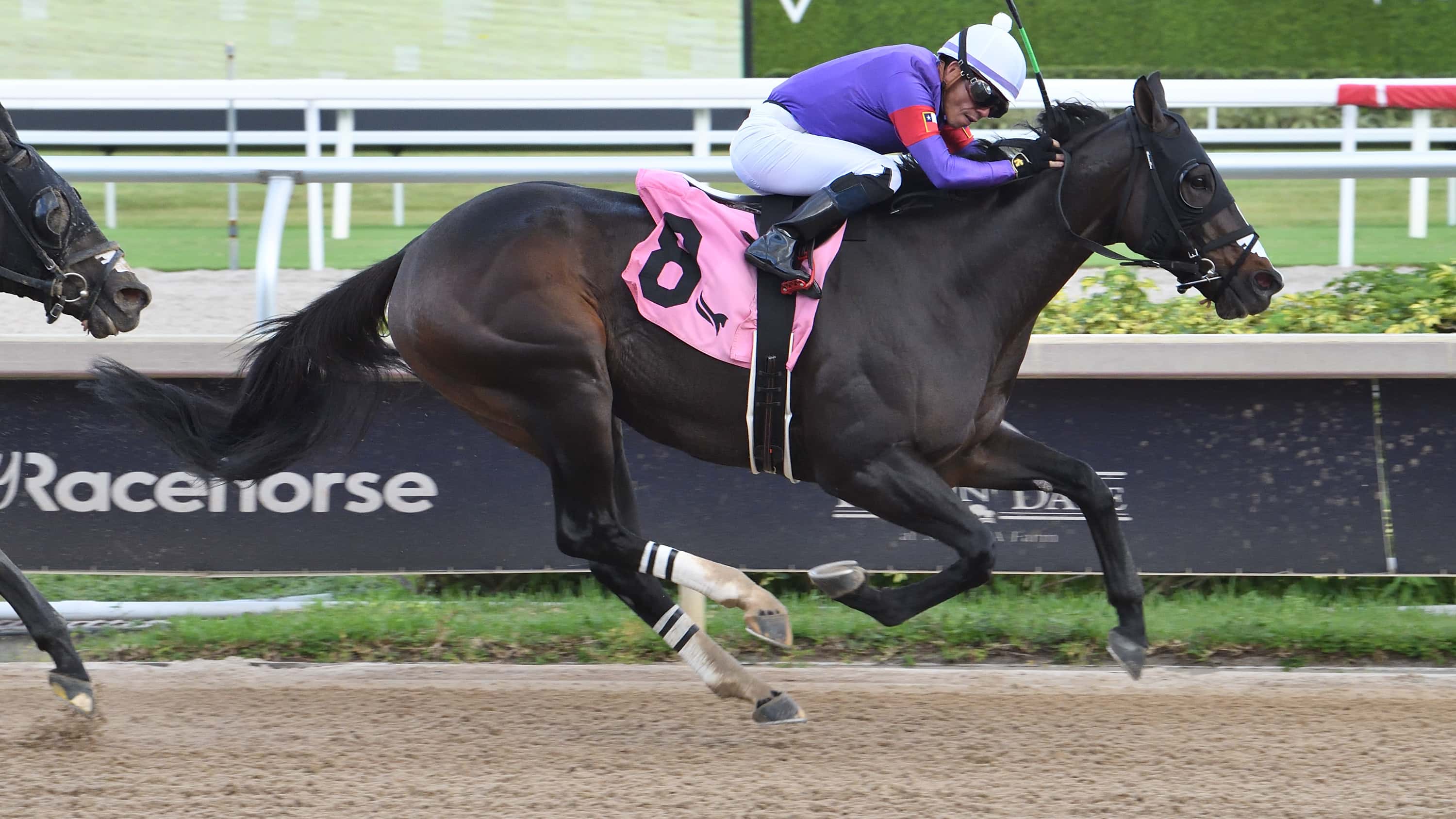 Con-Compania-the-Mr-Jordan