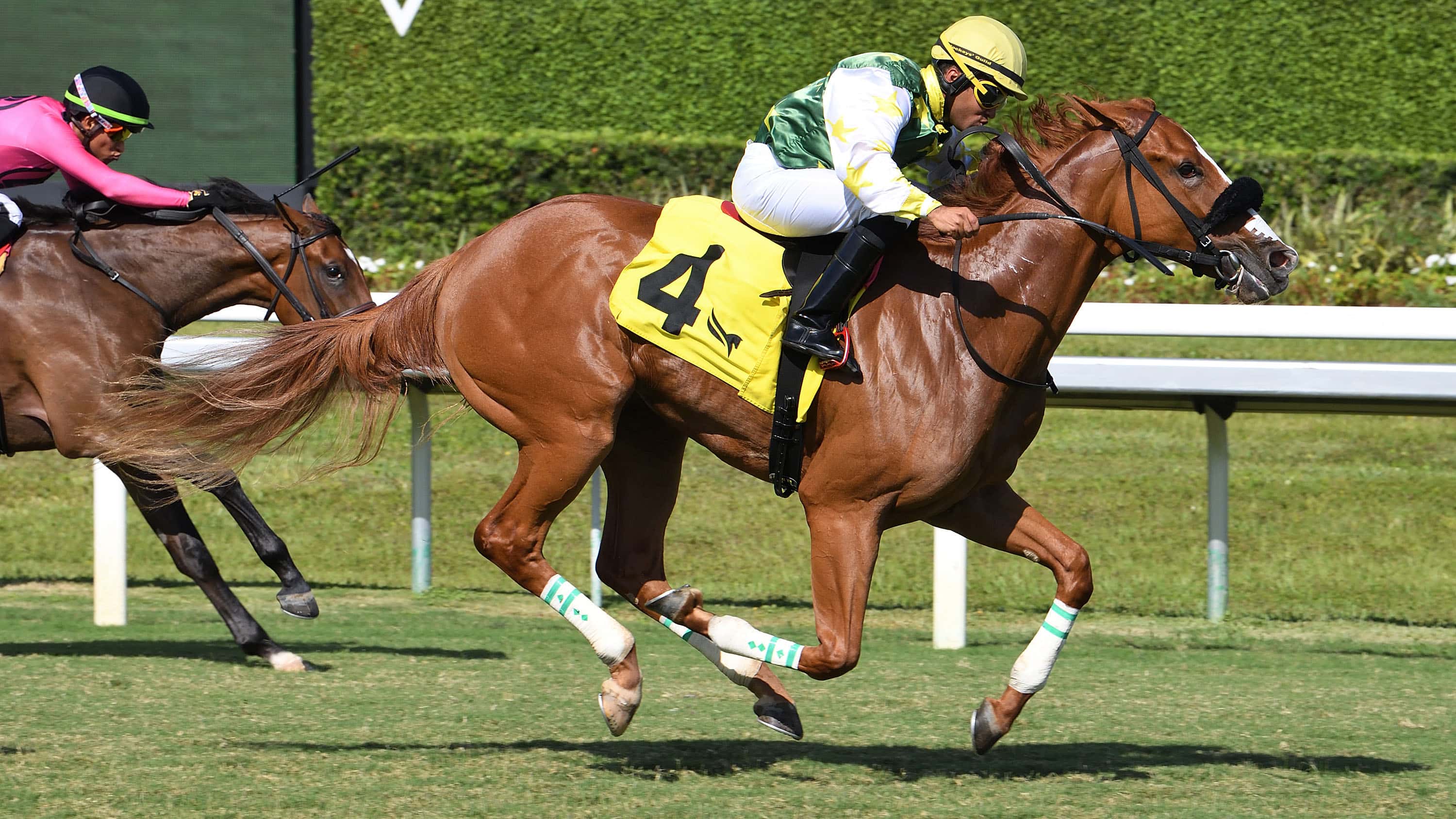Liberty Rings The Royal Palm Juvenile Fillies