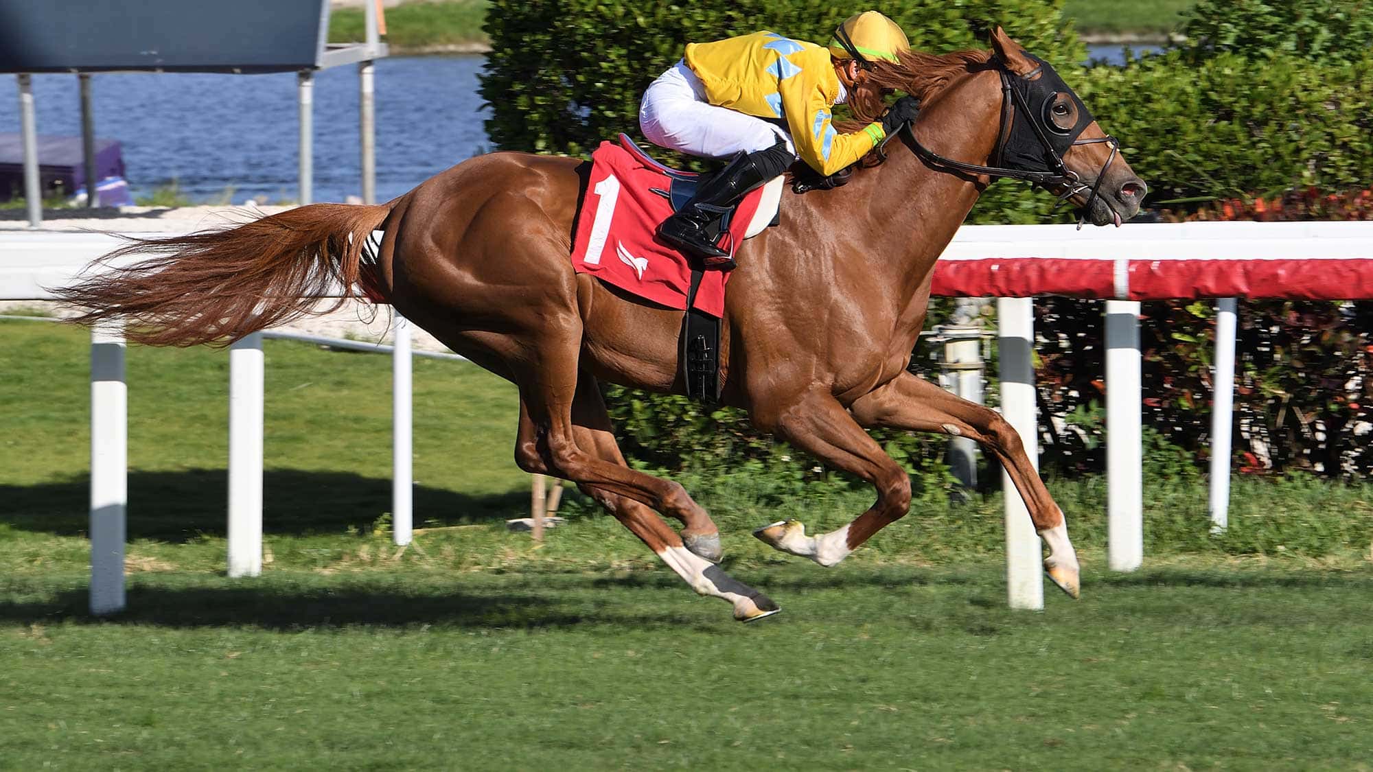 Candidate-the-Dania-Beach