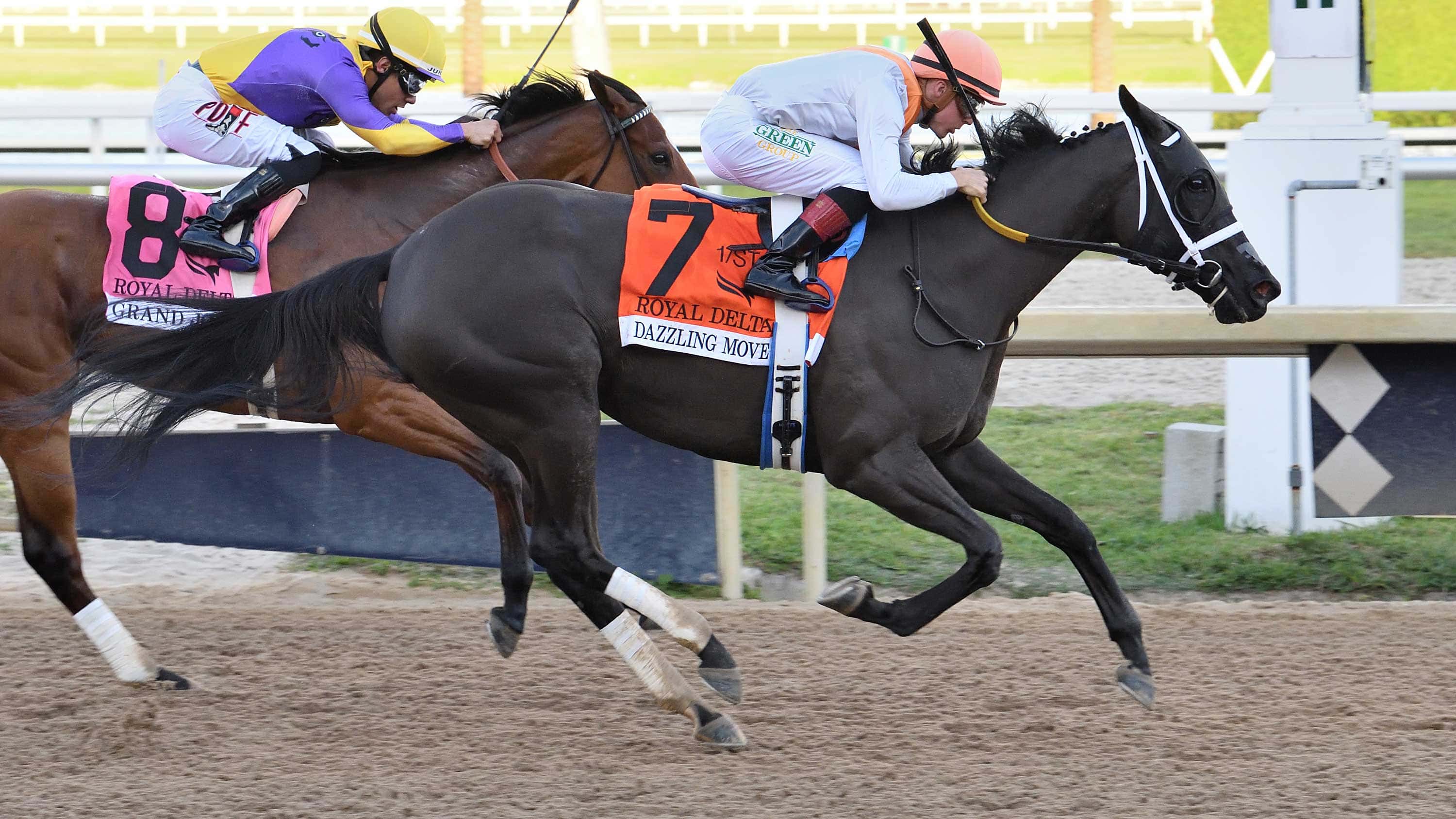 Dazzling-Move-the-Royal-Delta