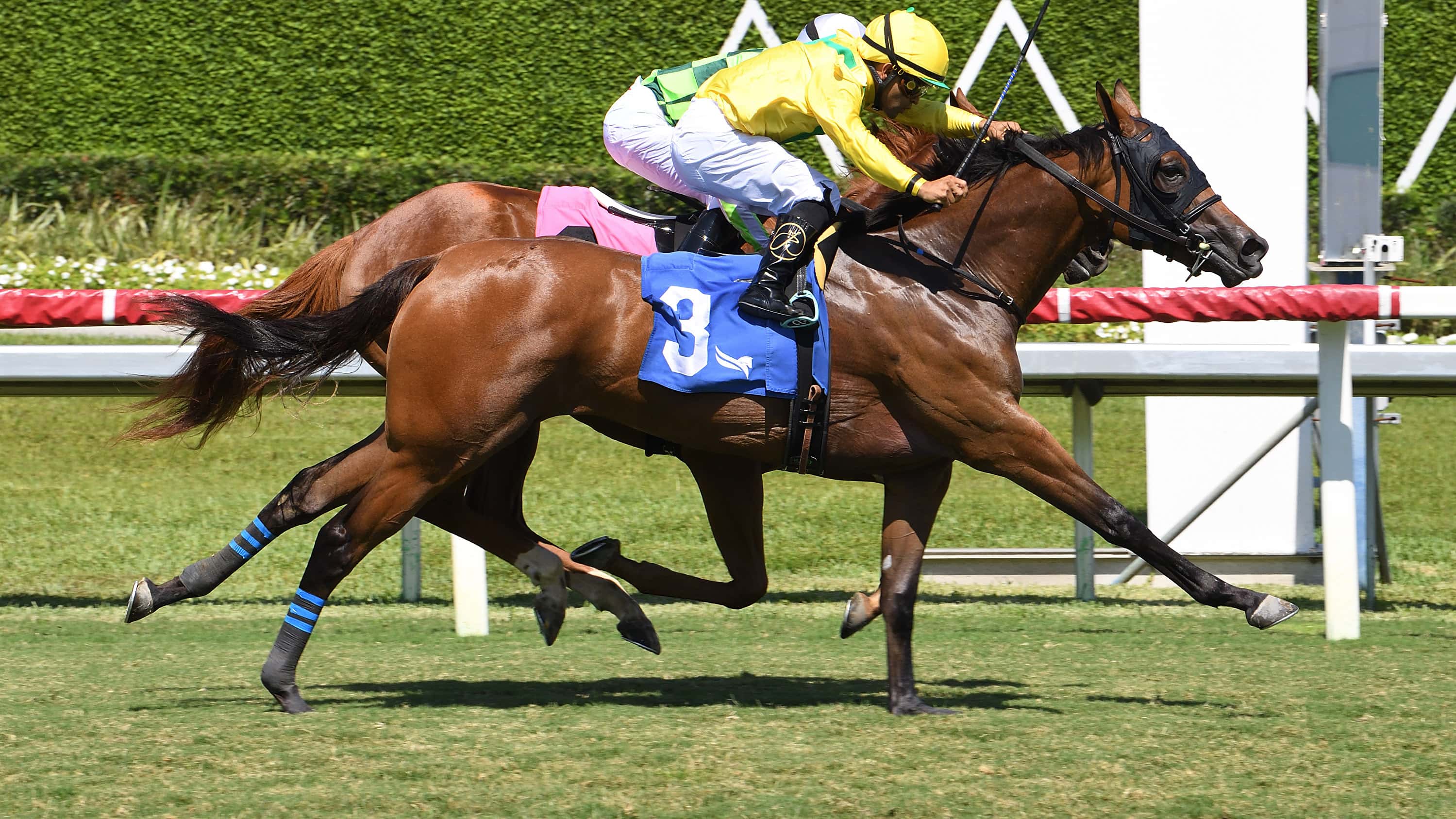 Celtic Dispute Scores Mild Upset in Royal Palm Juvenile