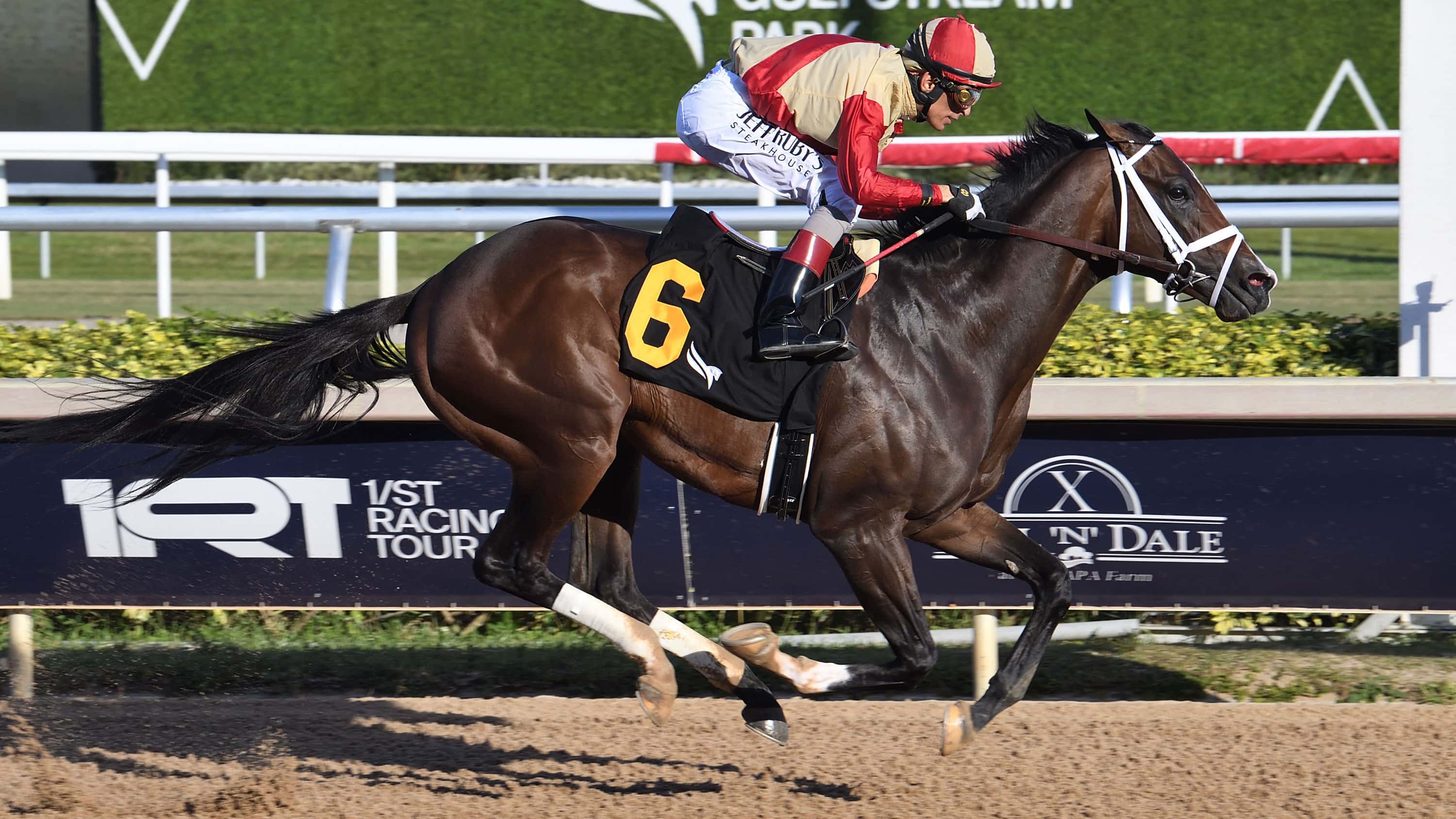 G3 Holy Bull Possible for Friday Feature Winner Nearly