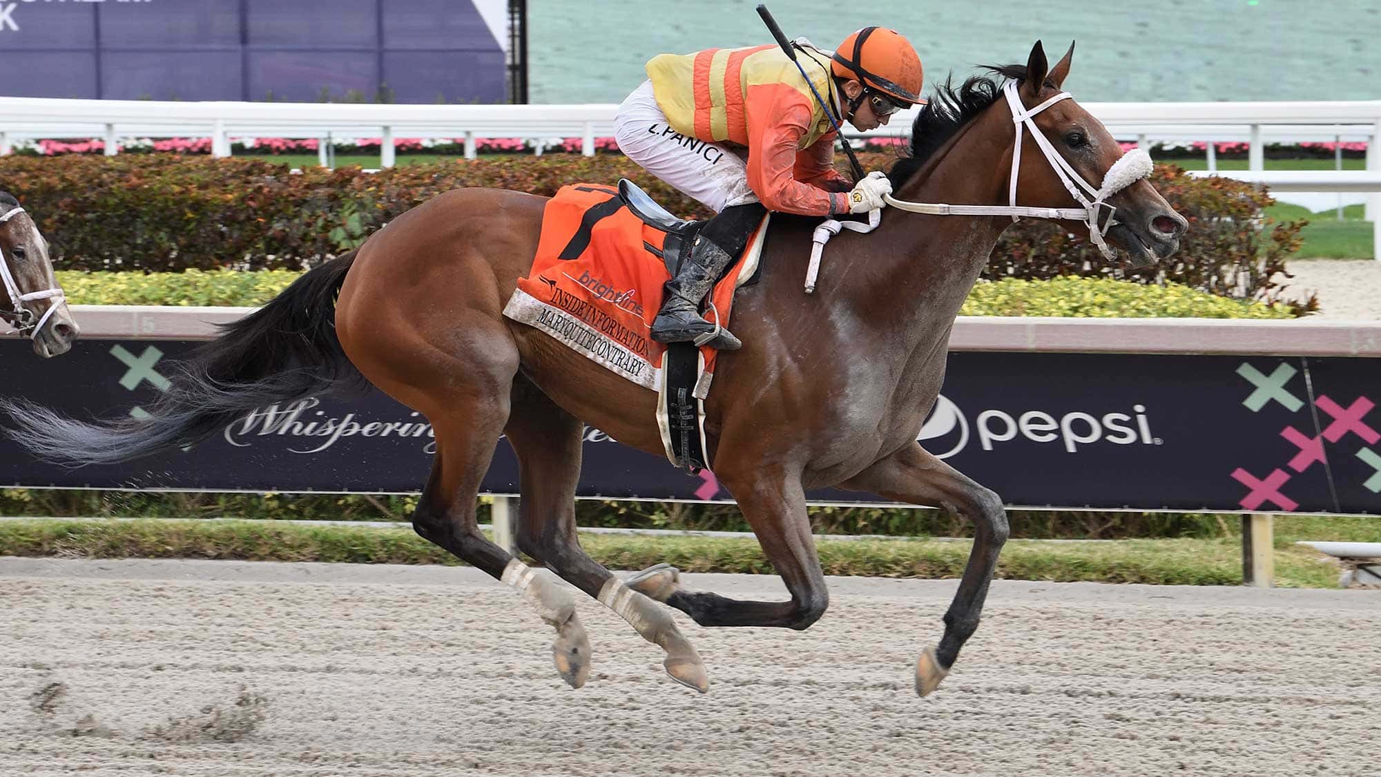 Maryquitecontrary-the-Inside-Information2