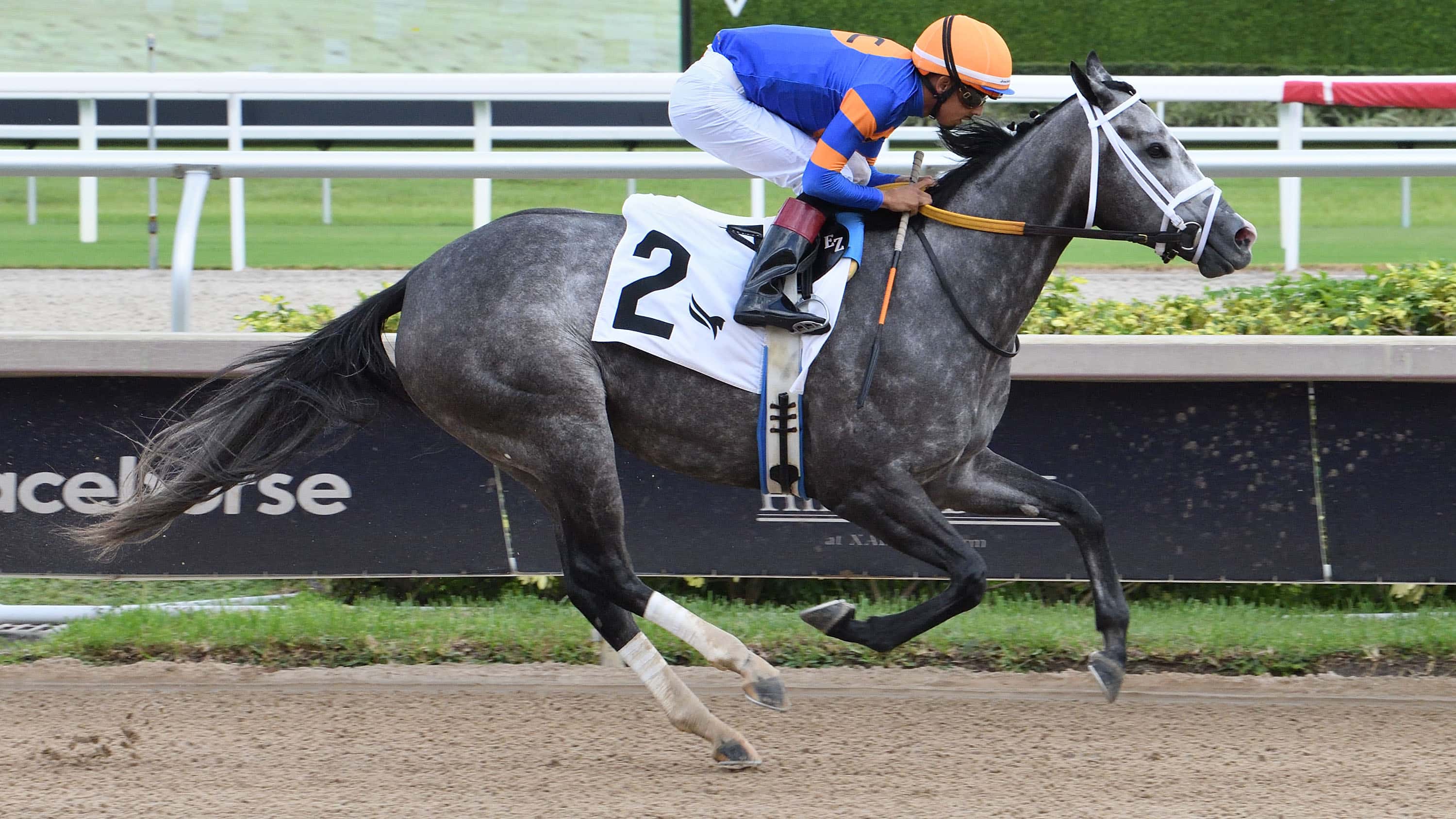 Joseph Nominates 6 to G3 Princess Rooney in Quest for 4 In a Row
