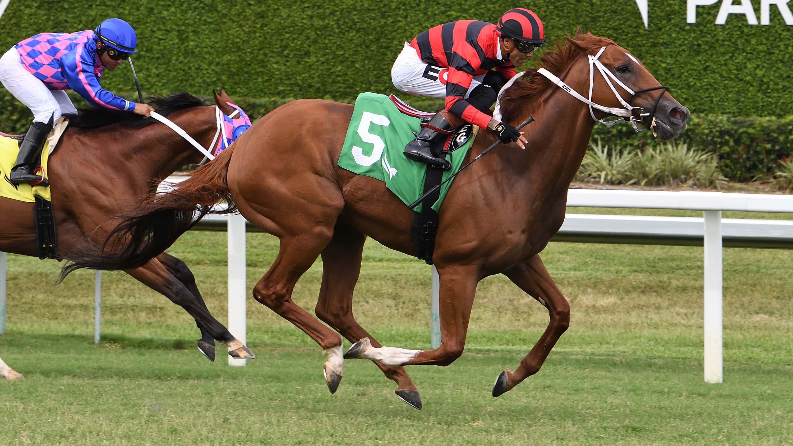 One More Time! Rezasrolex Wins No. 15 in Pay Any Price