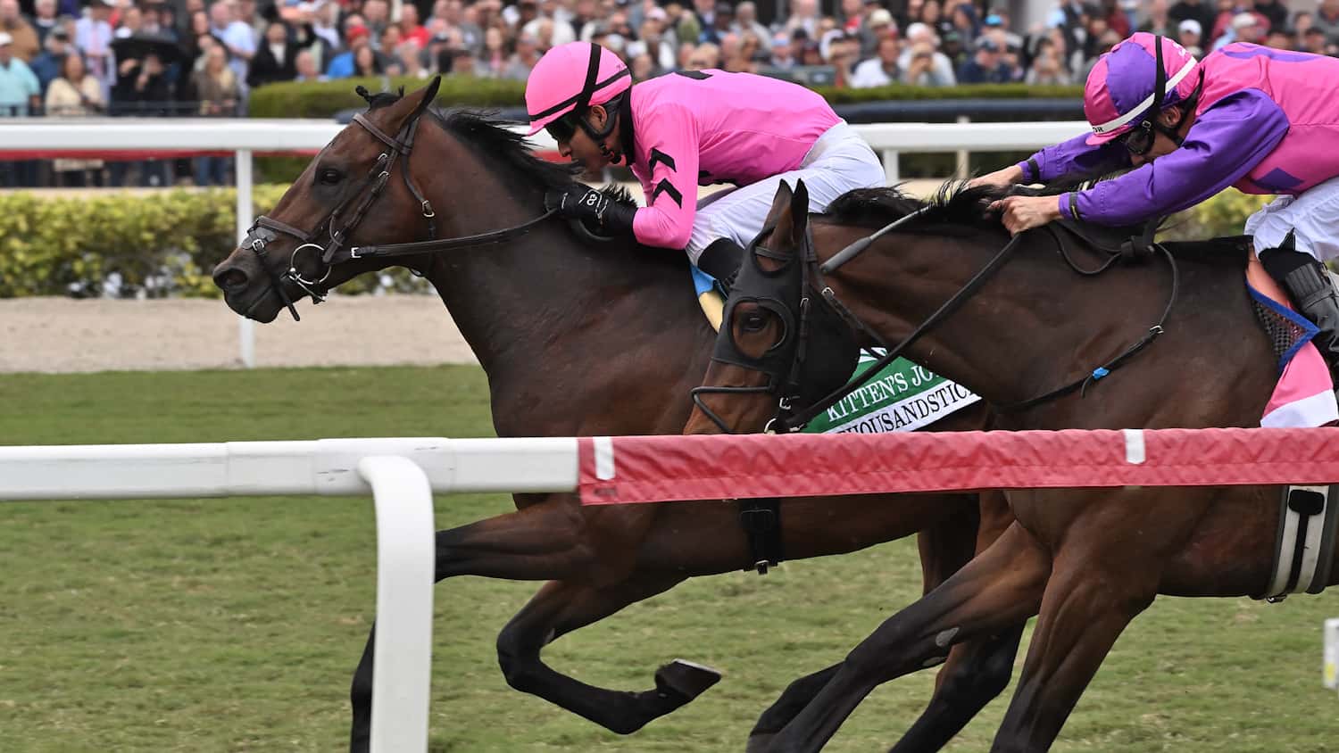 Kitten’s Joy Win Third Straight for Improving Thousandsticks