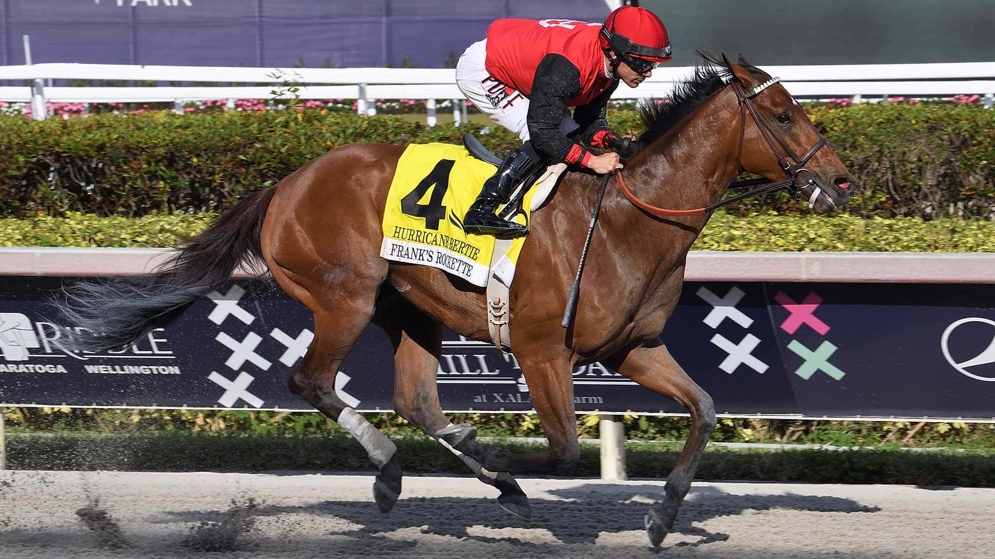 Franks-Rockette-the-Hurricane-Bertie