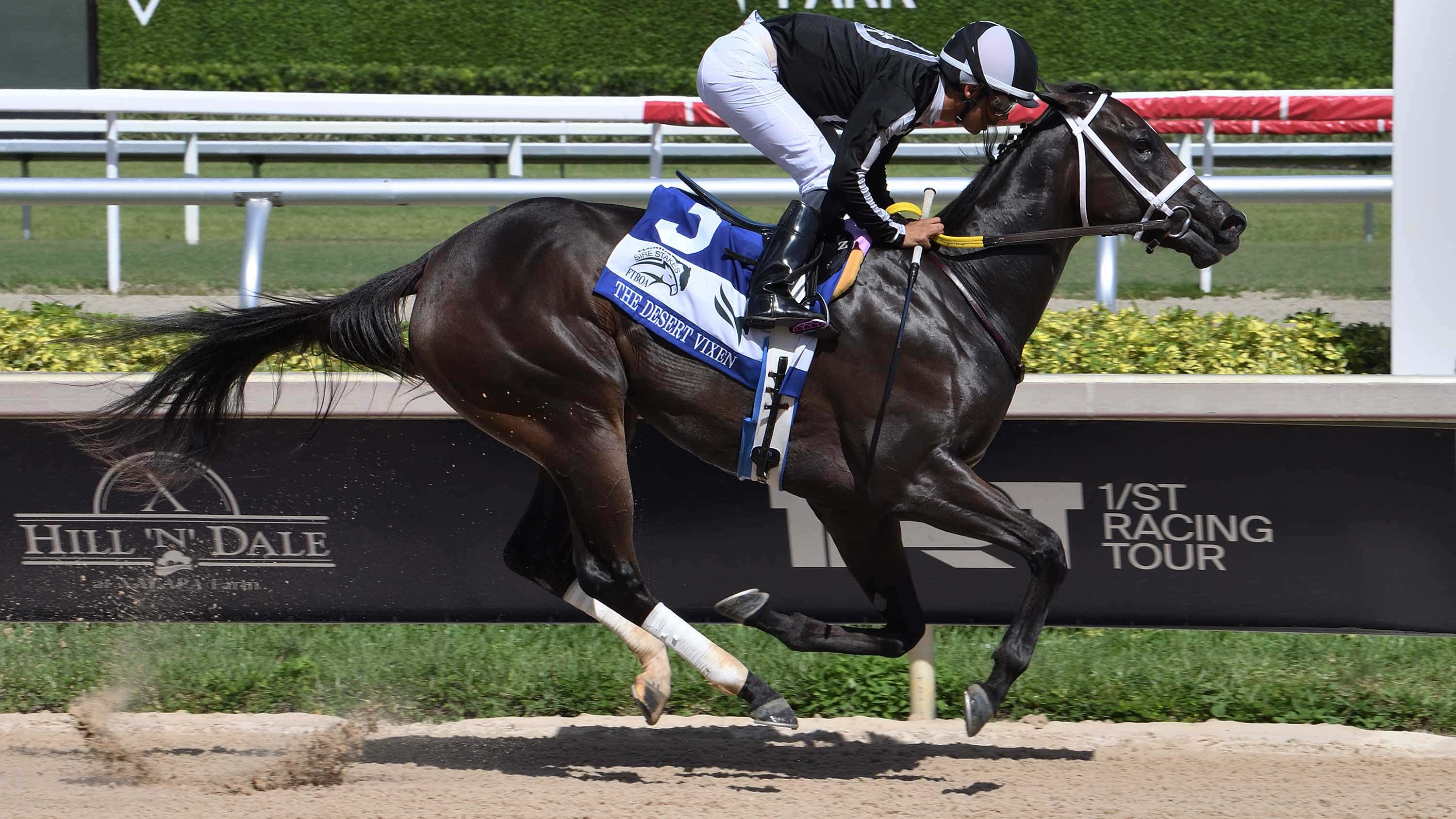 R-Morning-Brew-the-FSS-Desert-Vixen