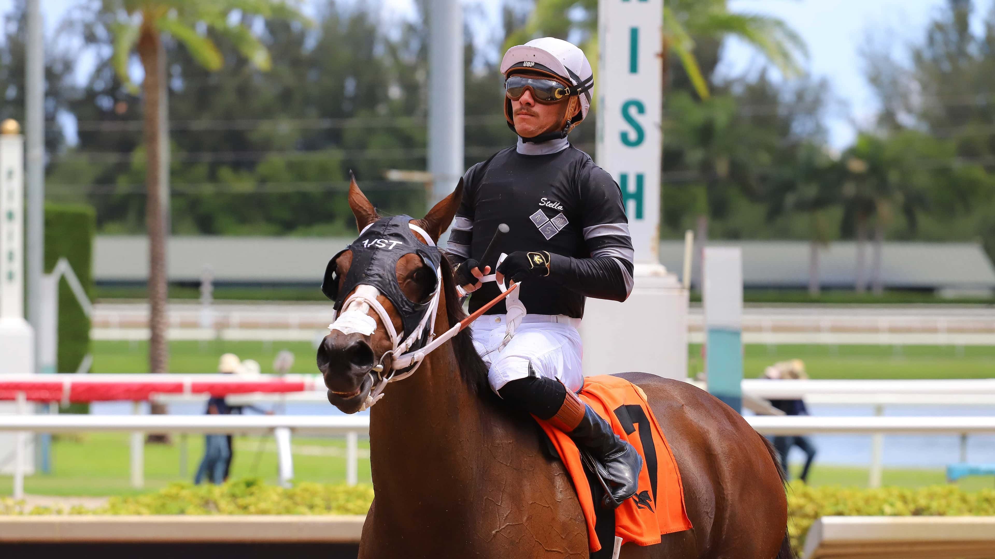 R Island Jewel - Three-Ring-Stakes
