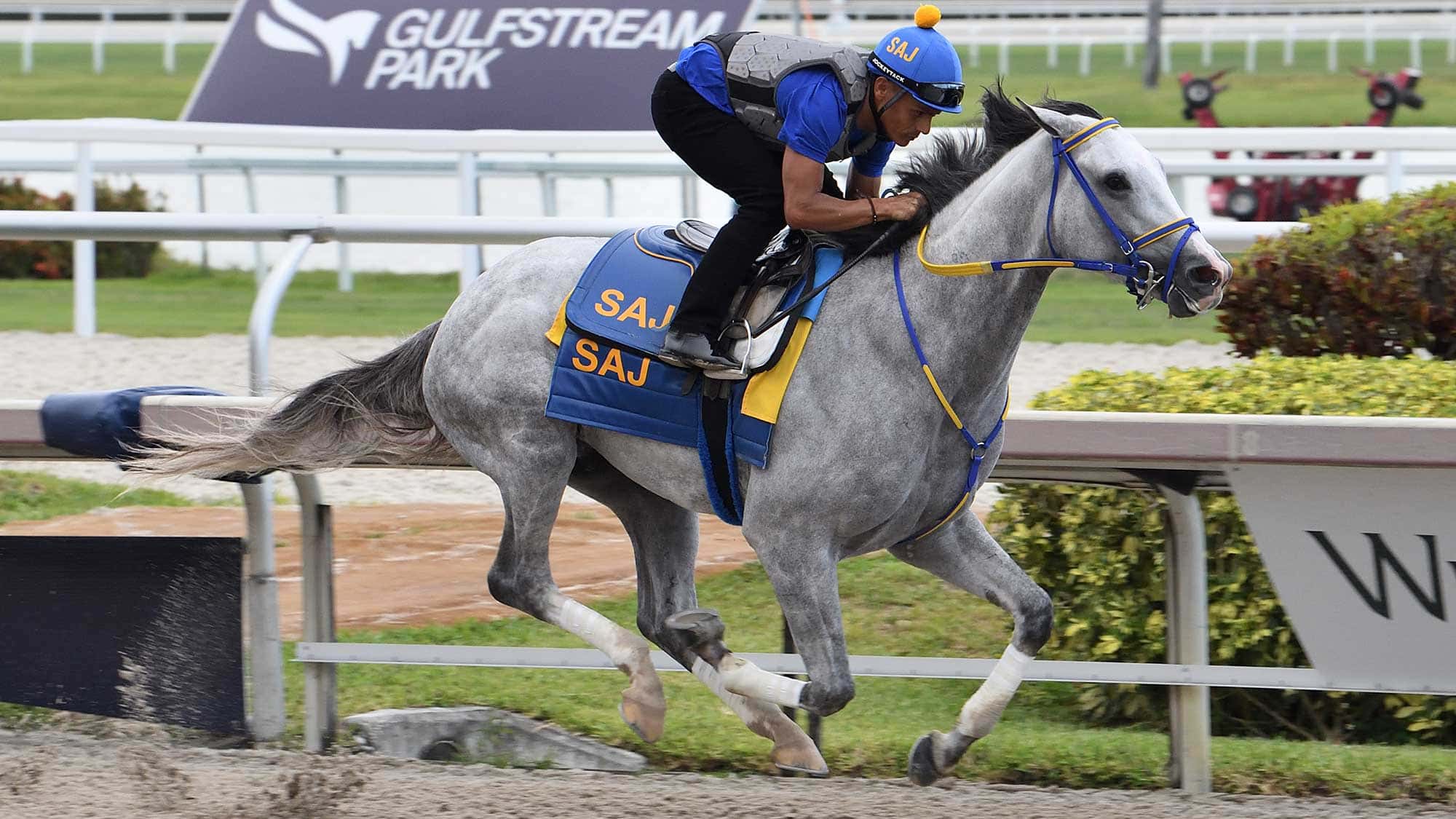 White-Abarrio-breeze-4-30-