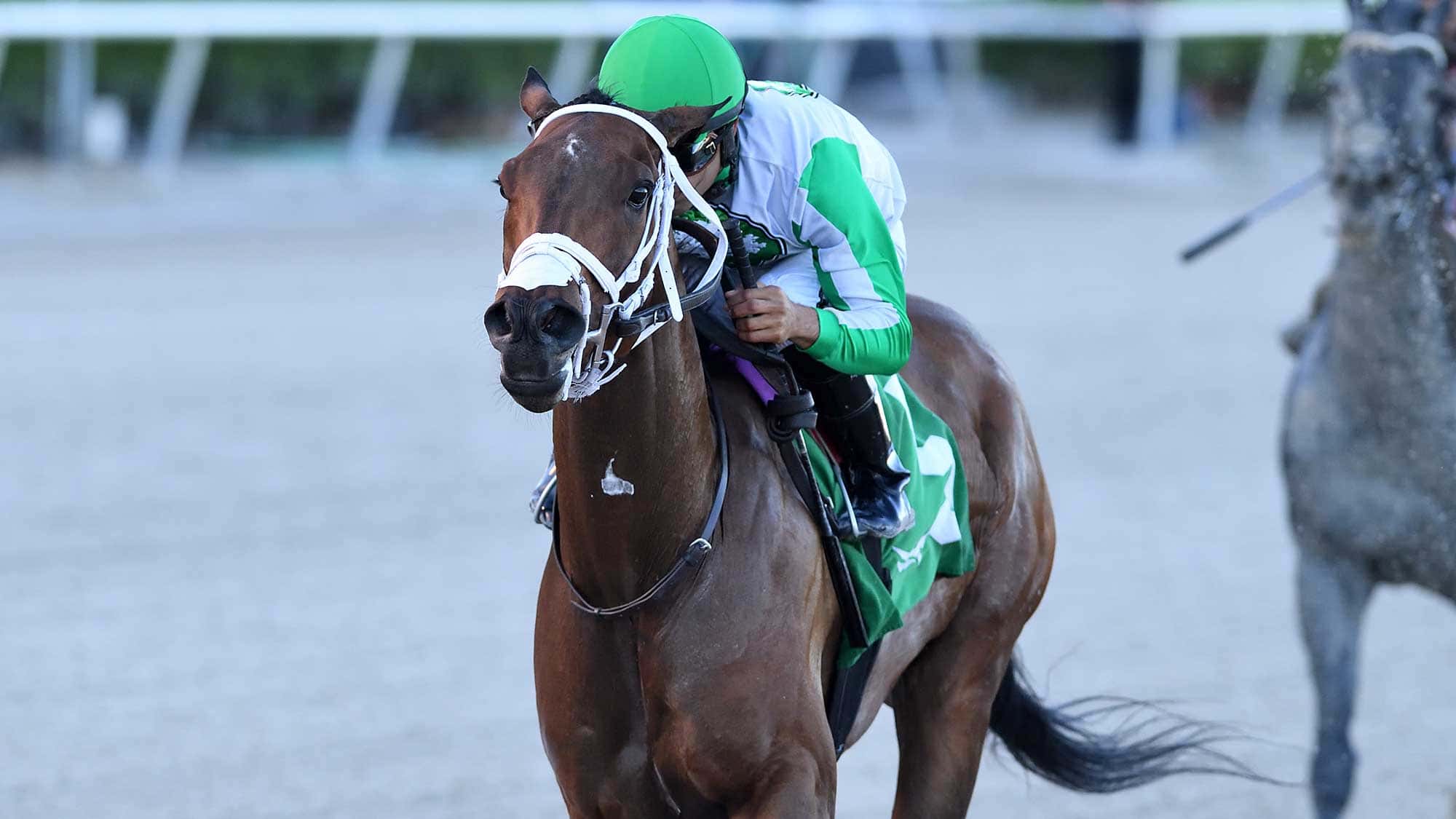 Gatsby-the-Sunshine-Sprint-