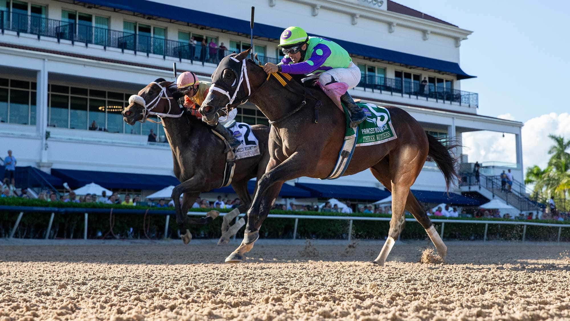 Three-Witches-the-Princess-Rooney-Invt2023