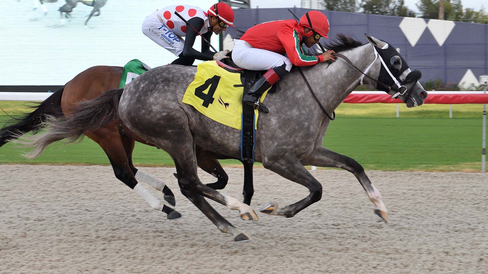 Amstrong-the-Showing-Up