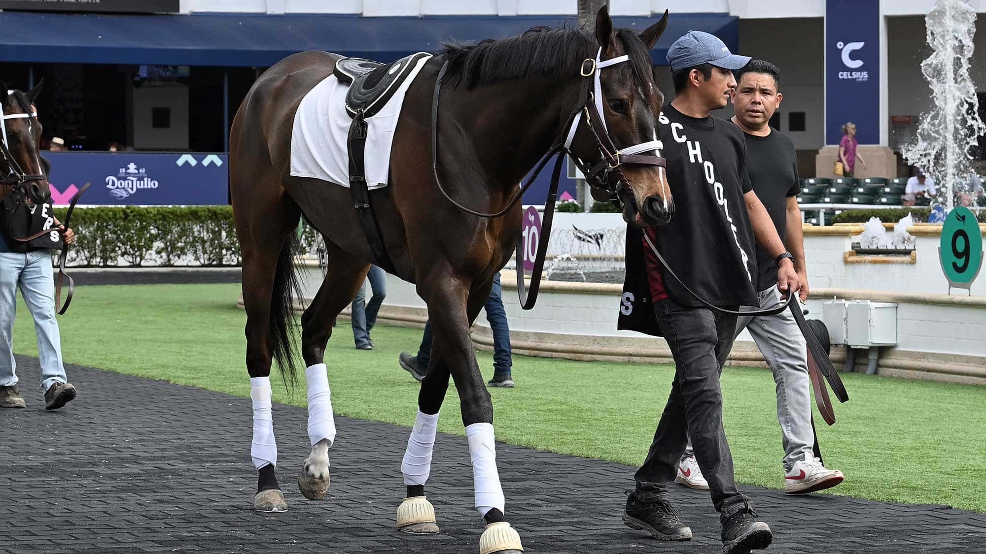 Surprisingly-school-