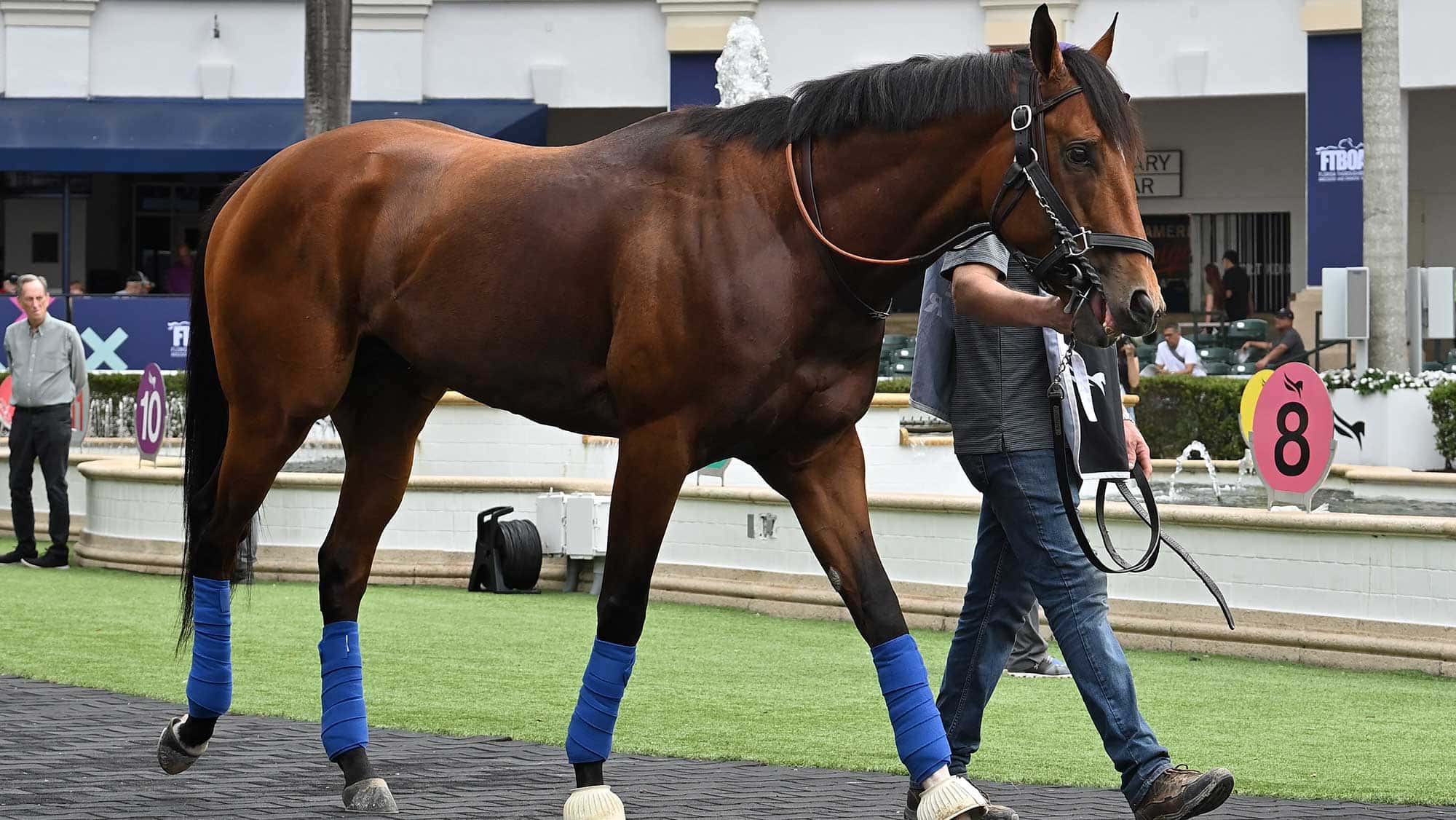 National-Treasure-school-1-25