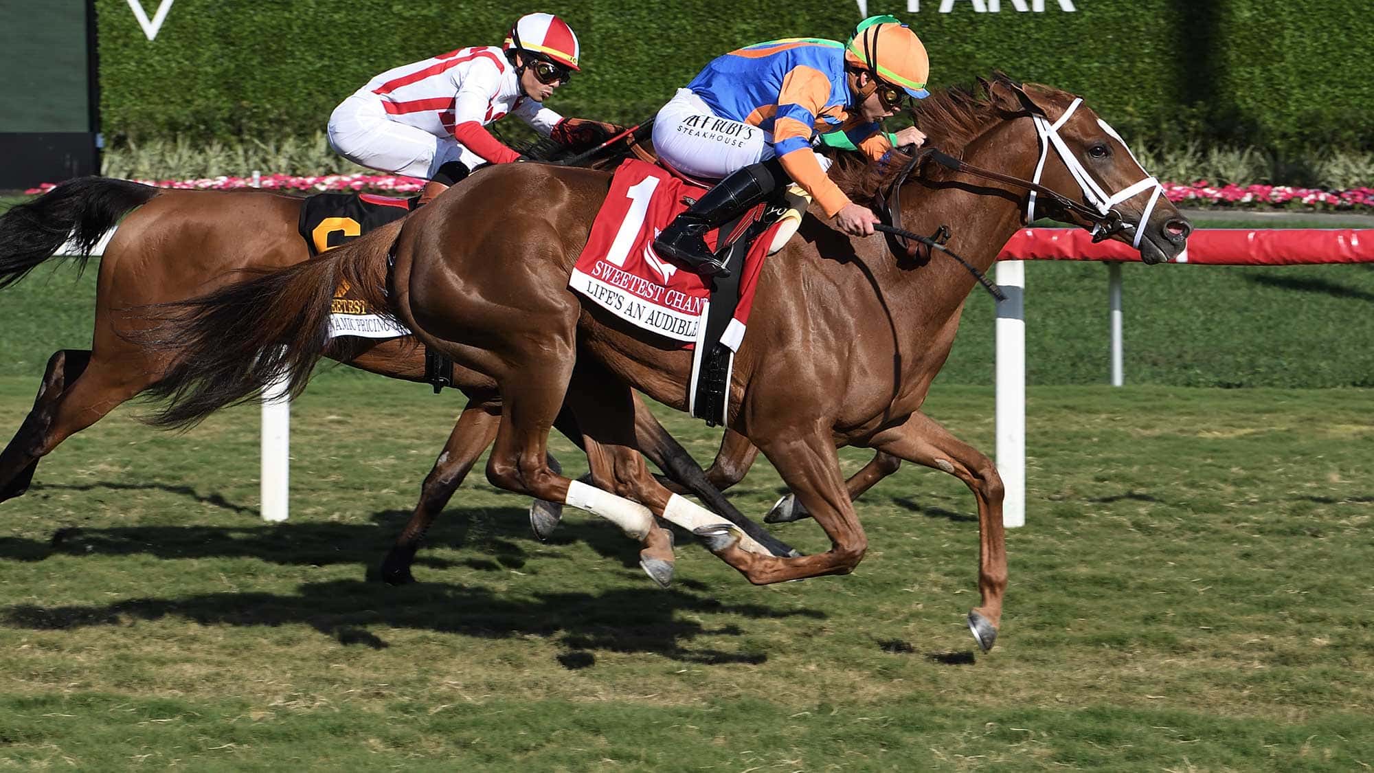 Lifes-an-Audible-the-Sweetest-Chant