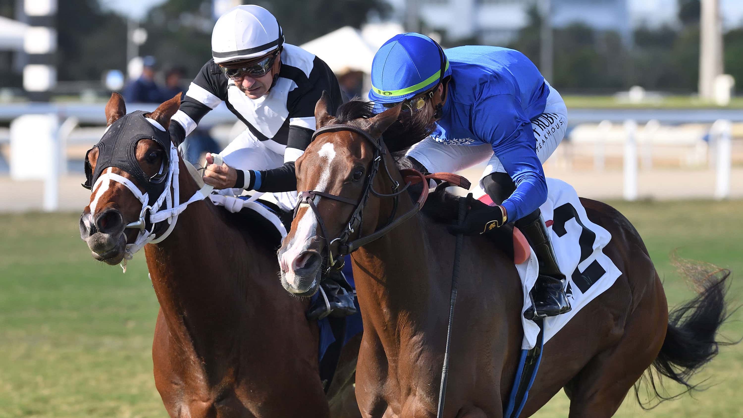 Civetta-the-Wait-a-While-right