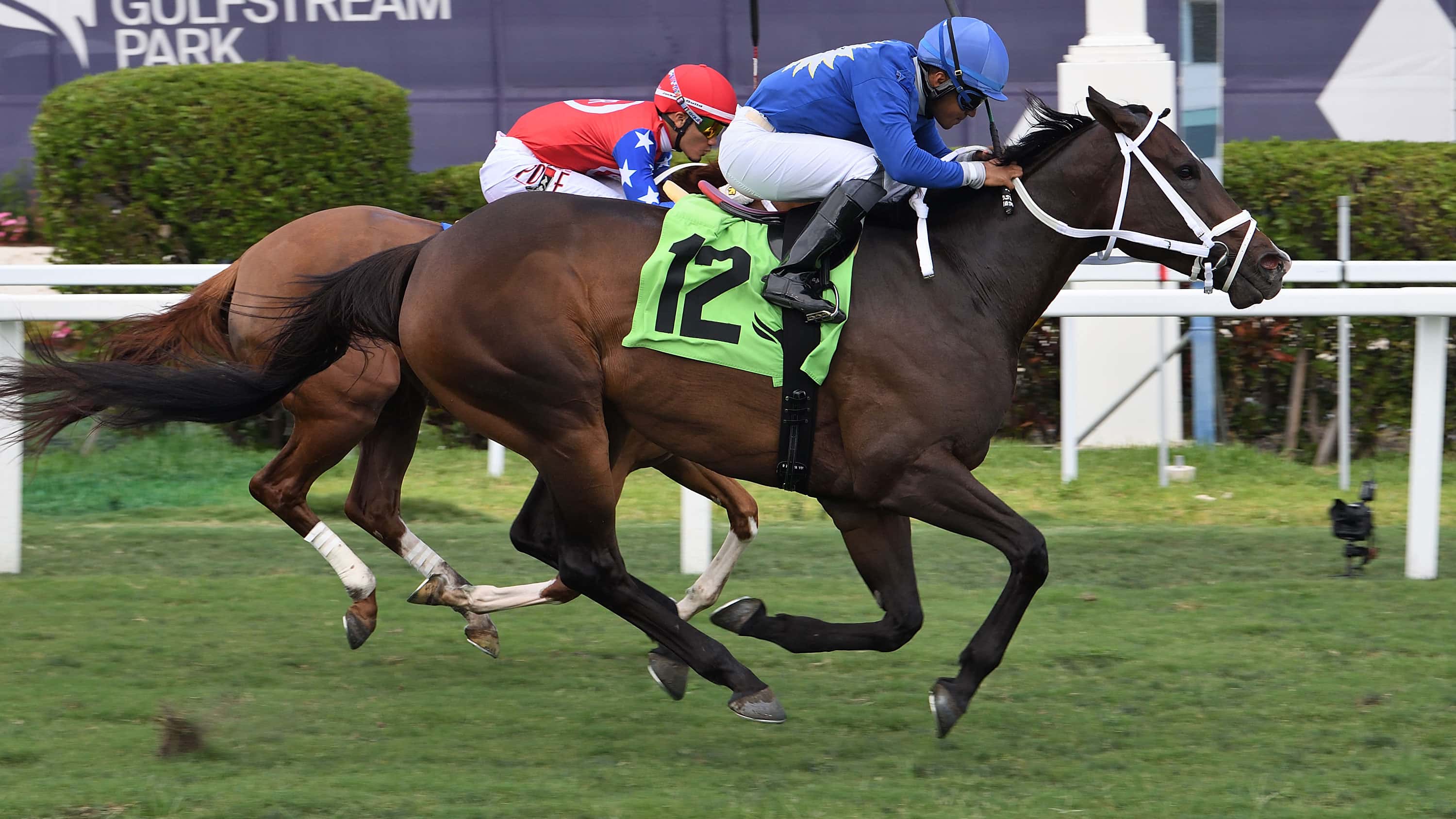 Choose-Joy-the-Hollywood-Lakes