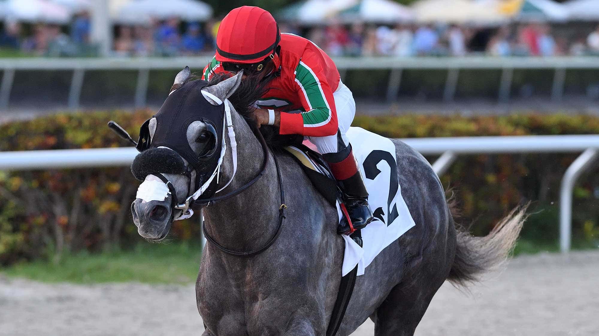 Amstrong-2the-Not-Surprising-