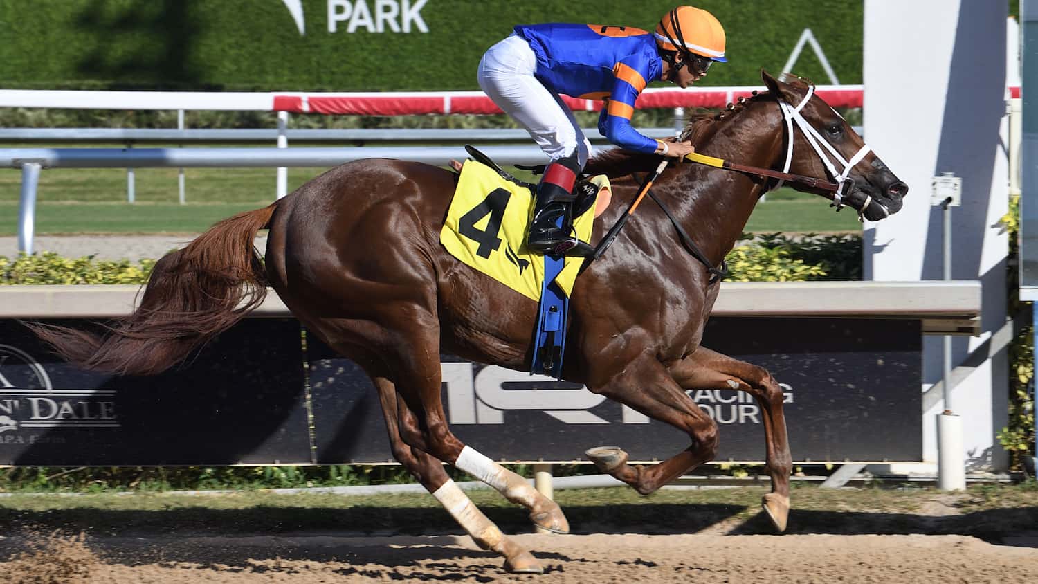 Hammond-the-Juvenile-Sprint