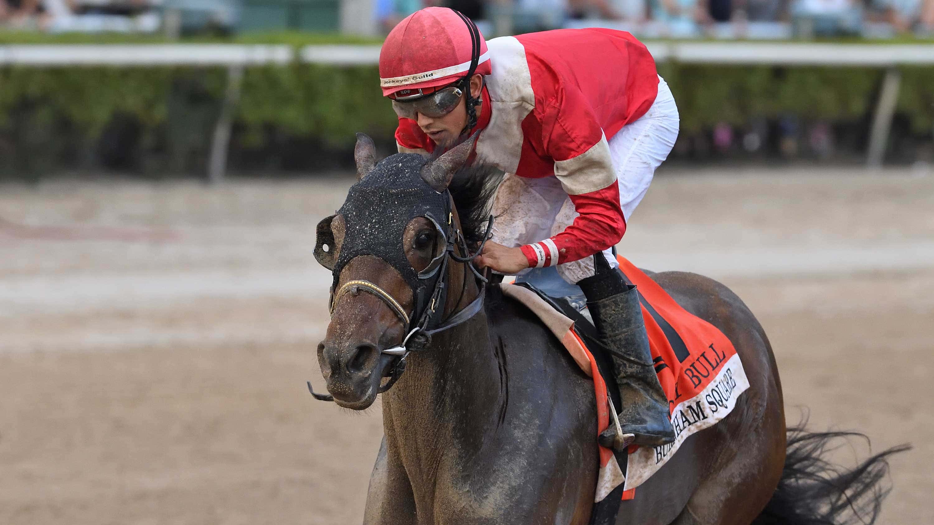 Burnham-Square-the-Holy-Bull-