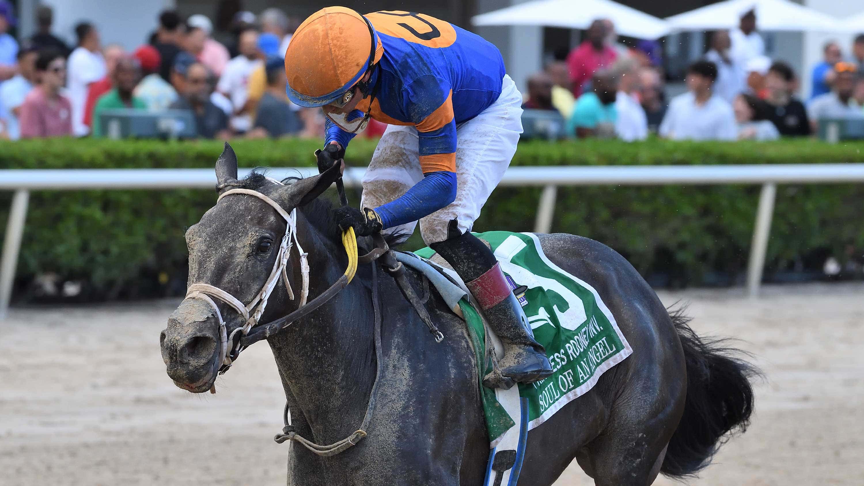 Soul-of-an-Angel-the-Princess-Rooney-0