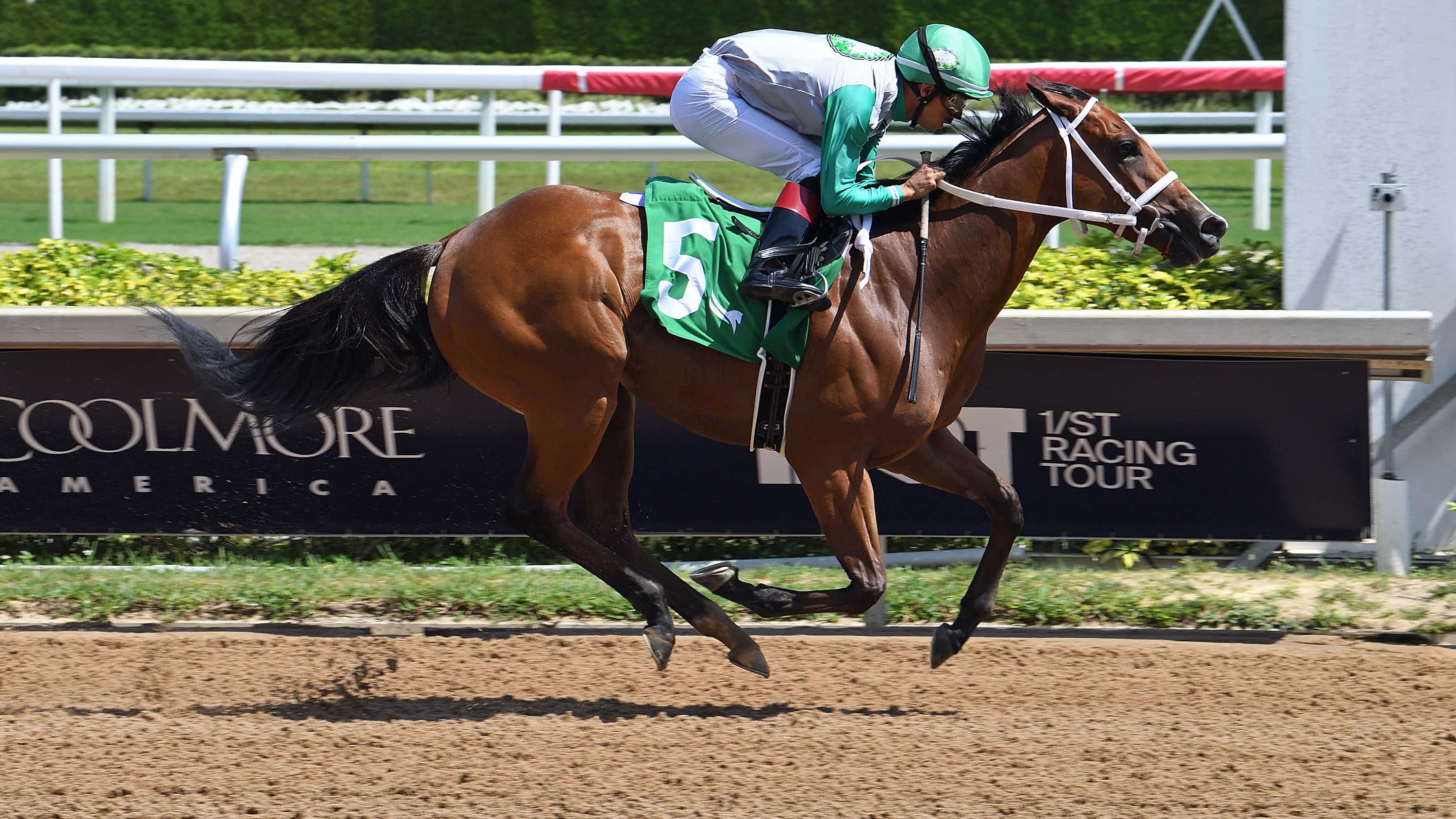 Mythical-the-Any-Limit-