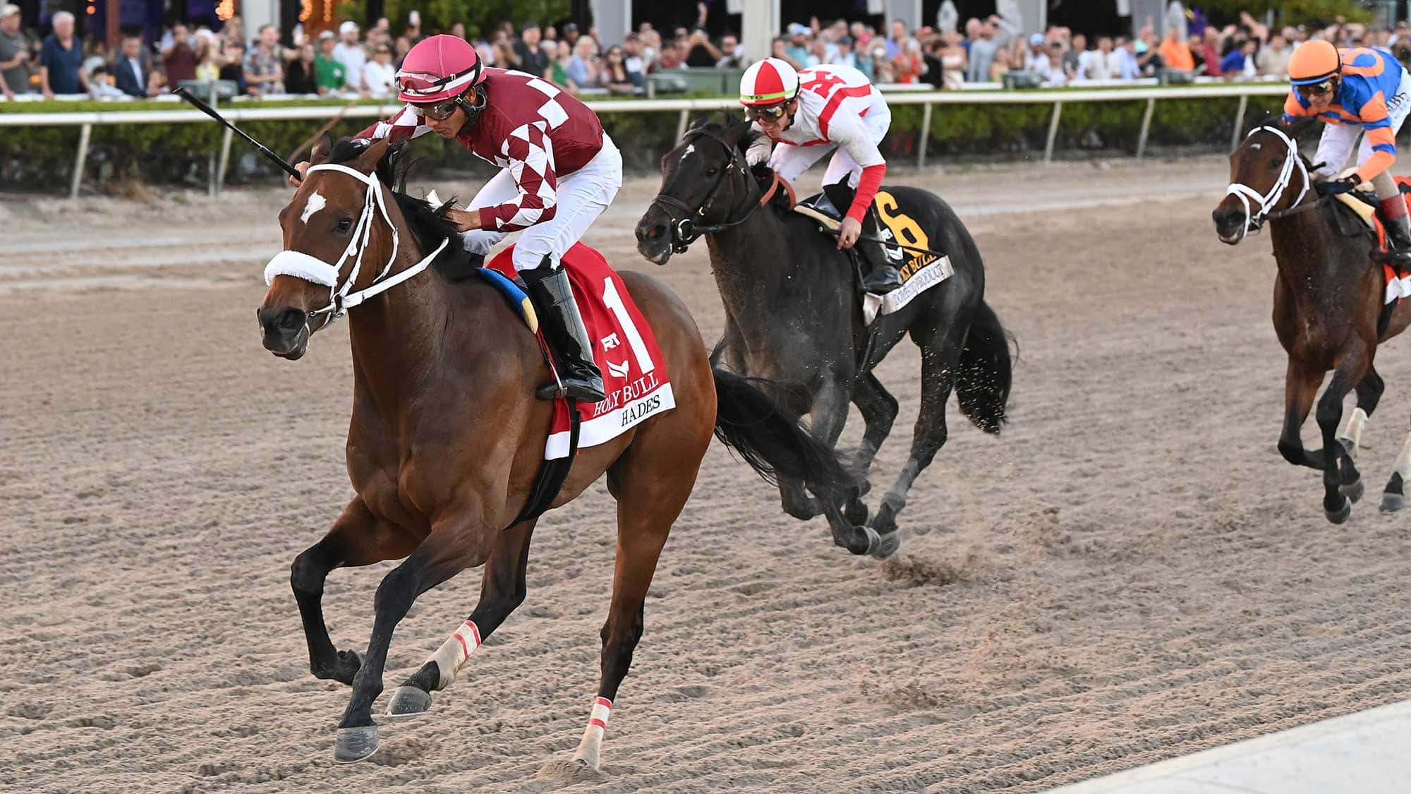 Hades-the-Holy-Bull--3