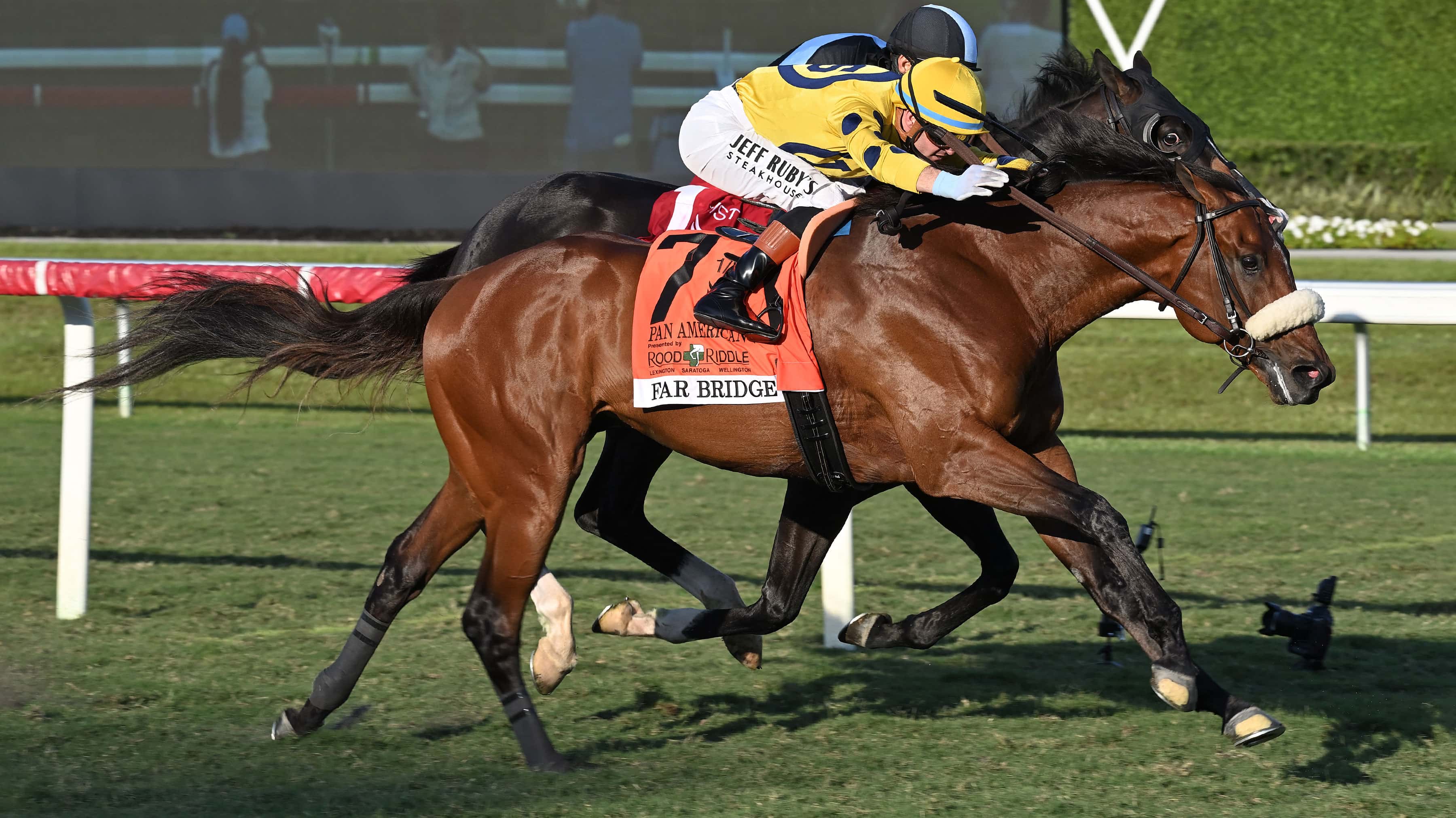 Far-Bridge-the-Pan-American