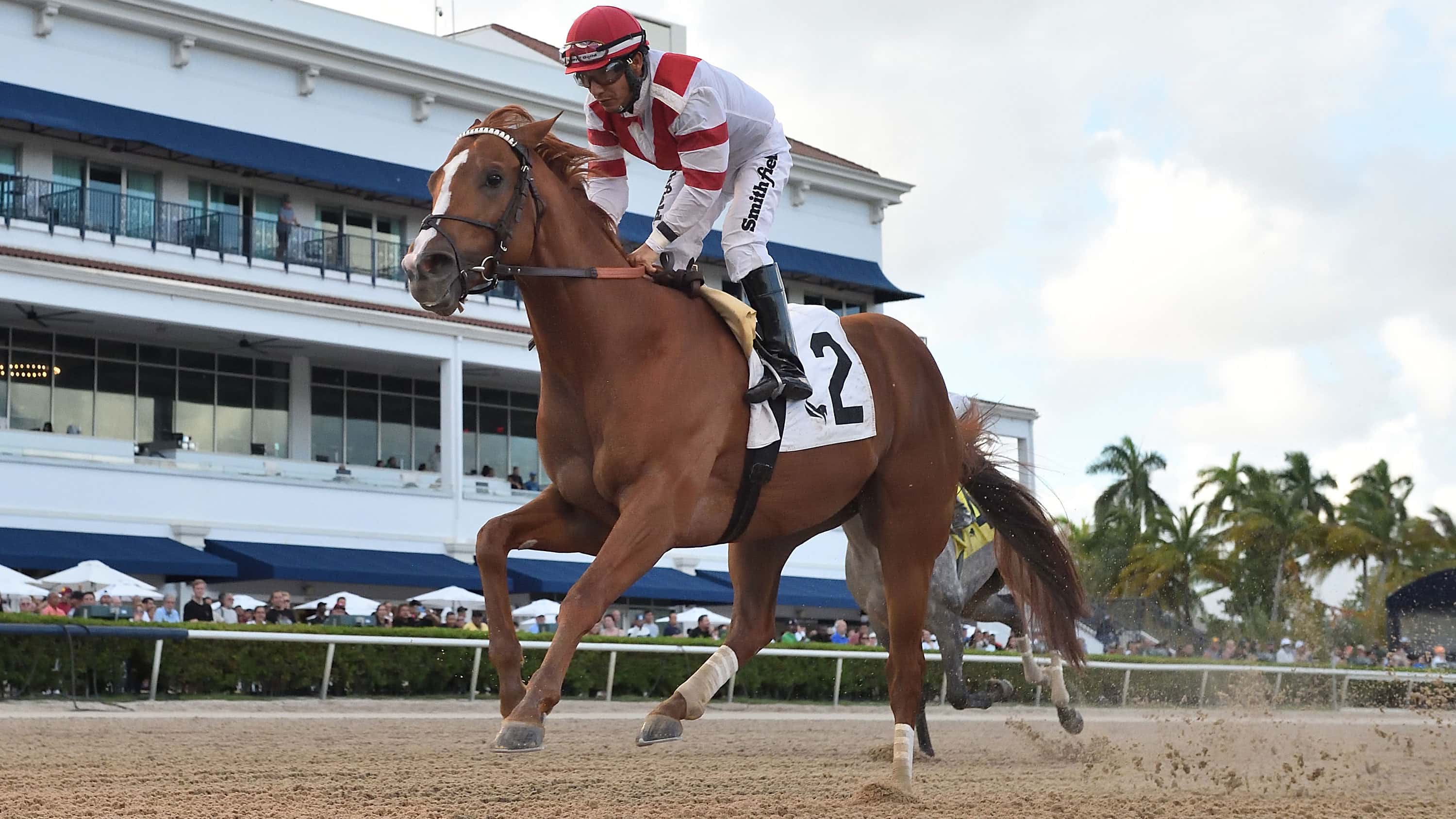 Mr-Skylight-the-Awesome-Banner