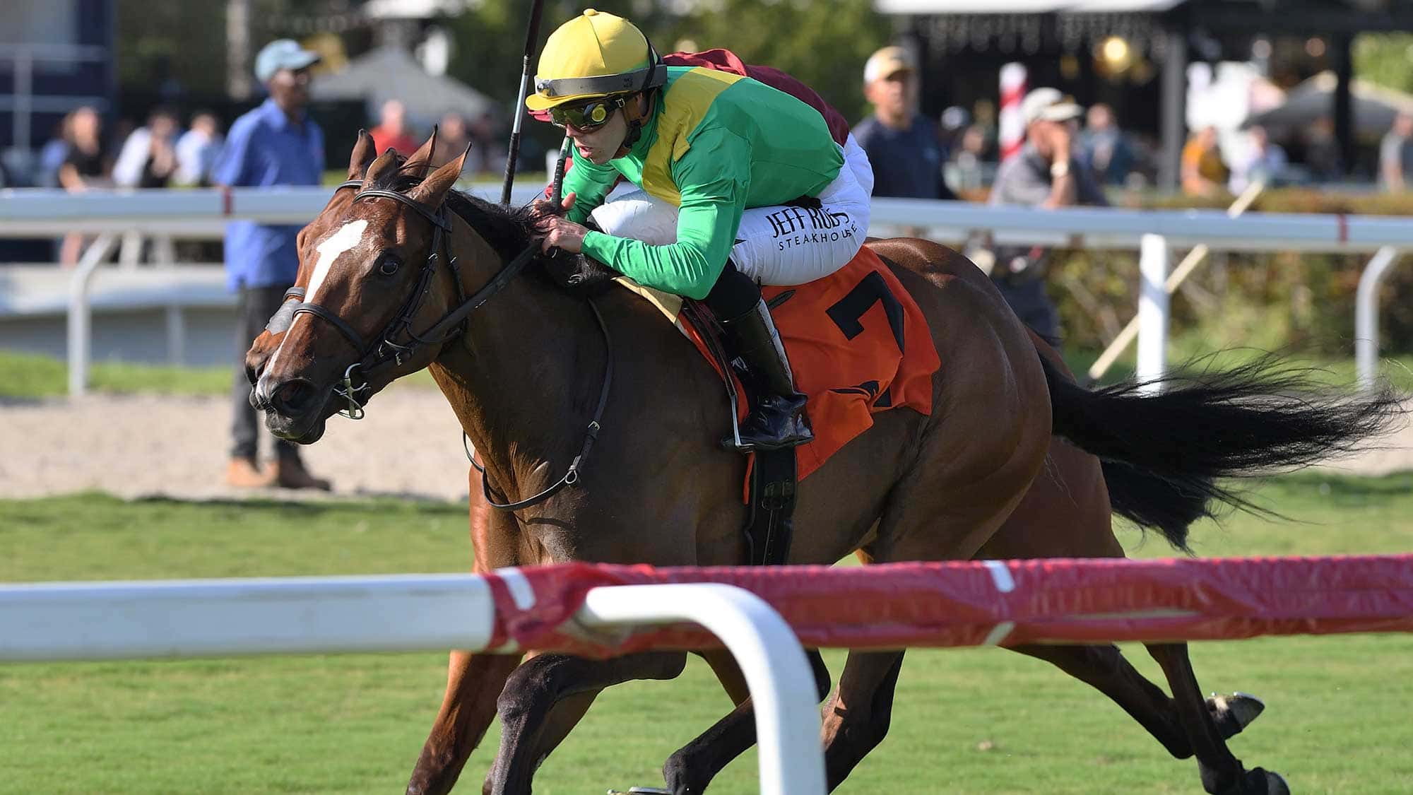 Ozara-the-Wait-a-While