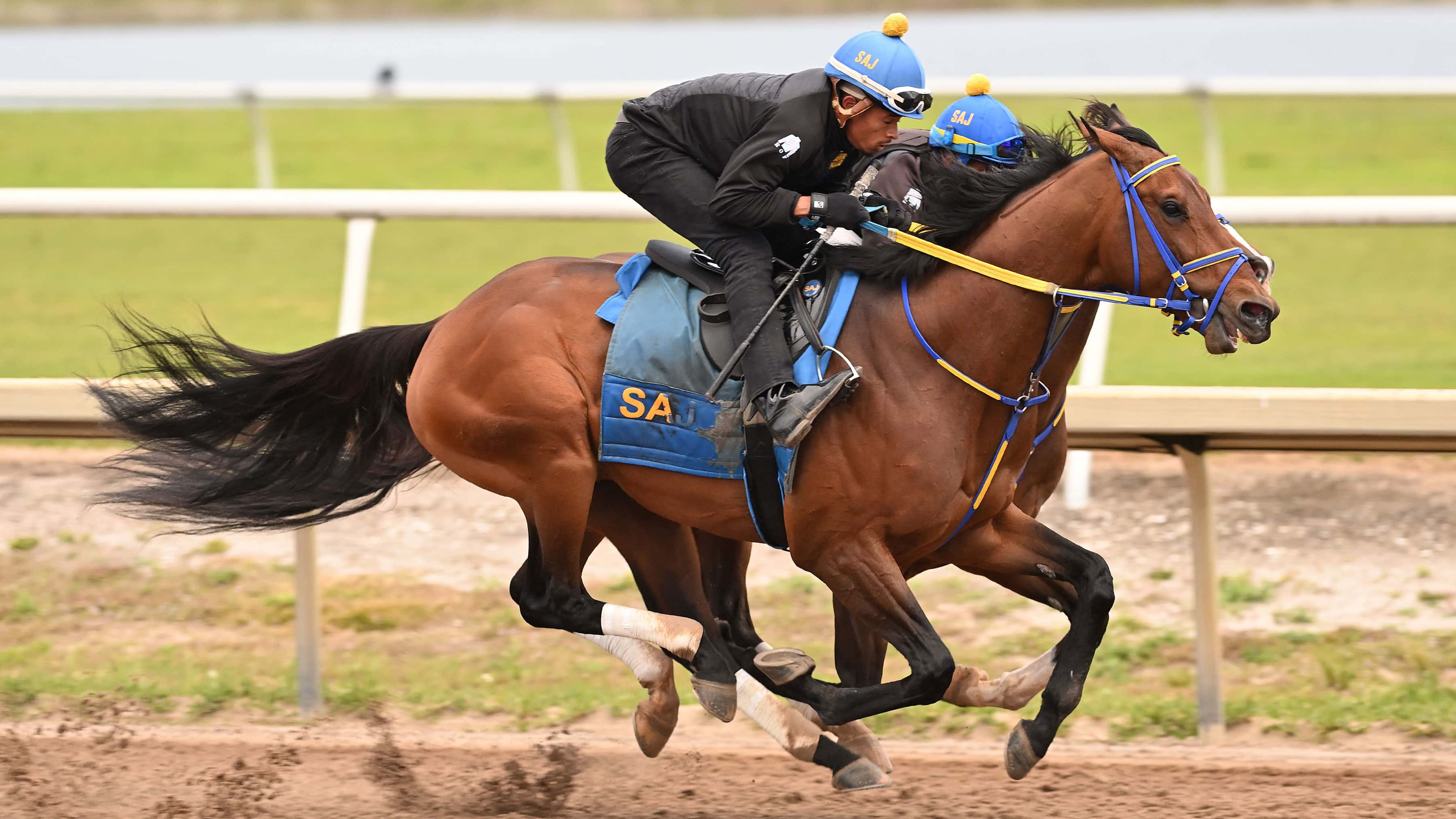 Pegasus World Cup Day Contenders Put in Friday Works