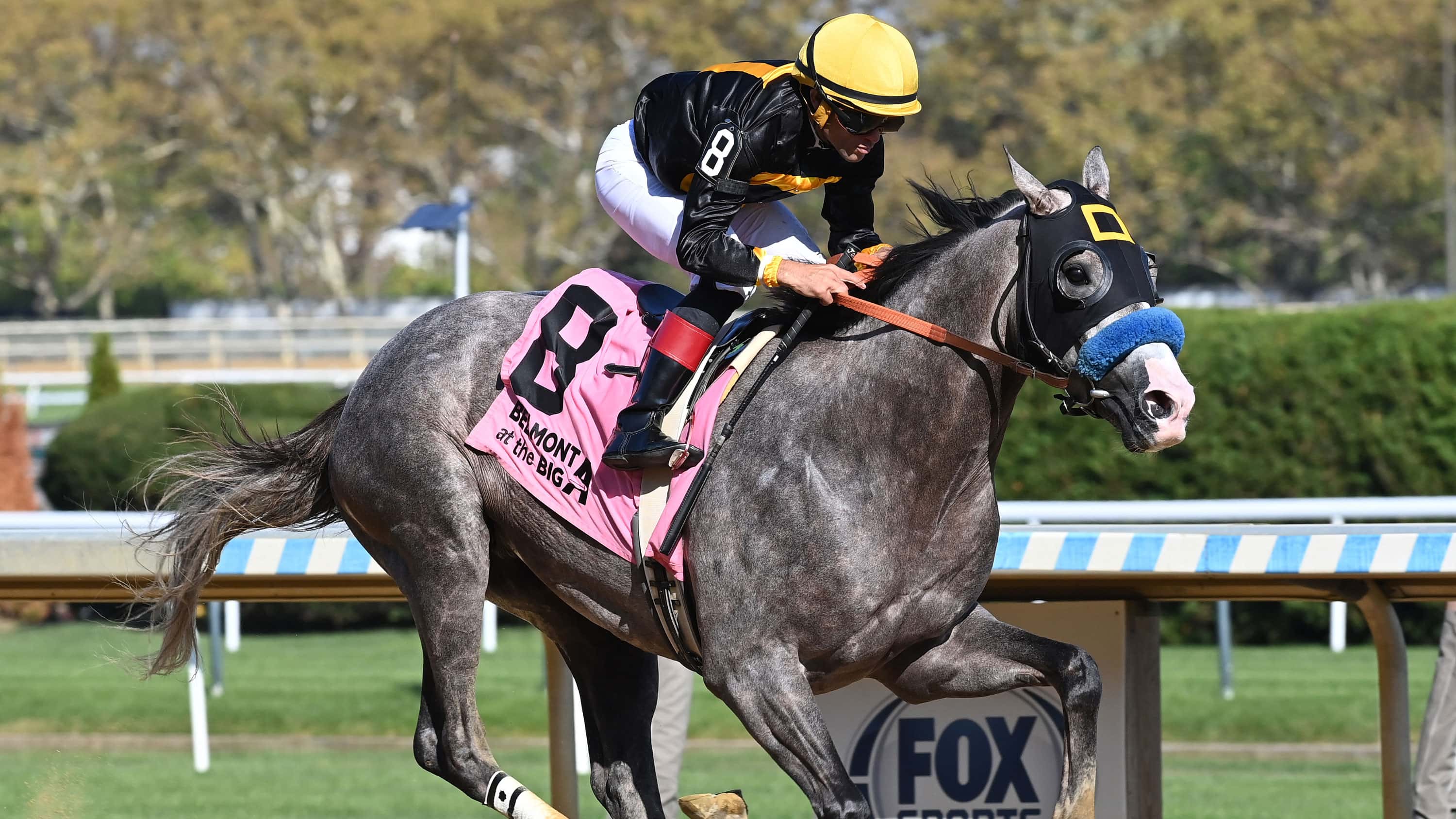 napoleon-solo-the-champagne