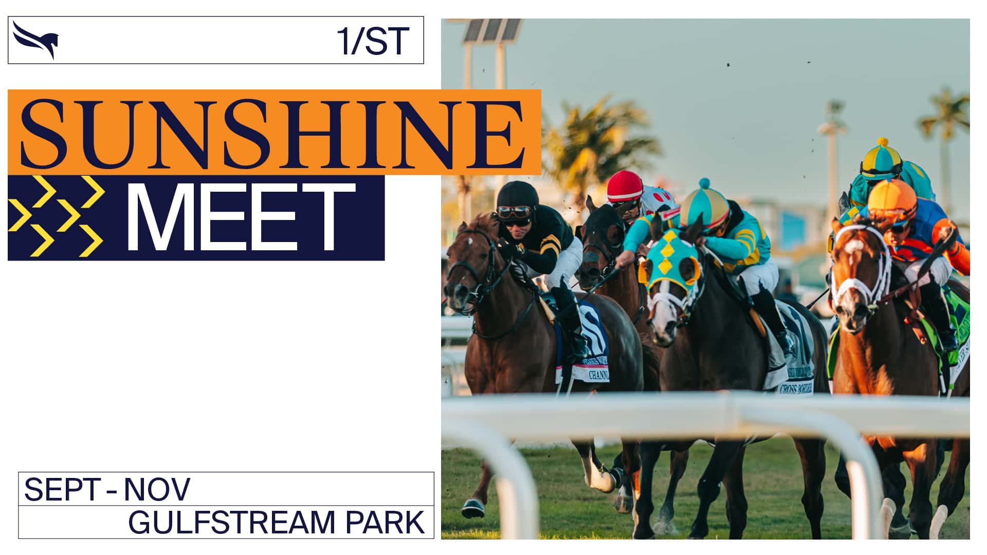 TV-Slate Sunshine Meet background asset